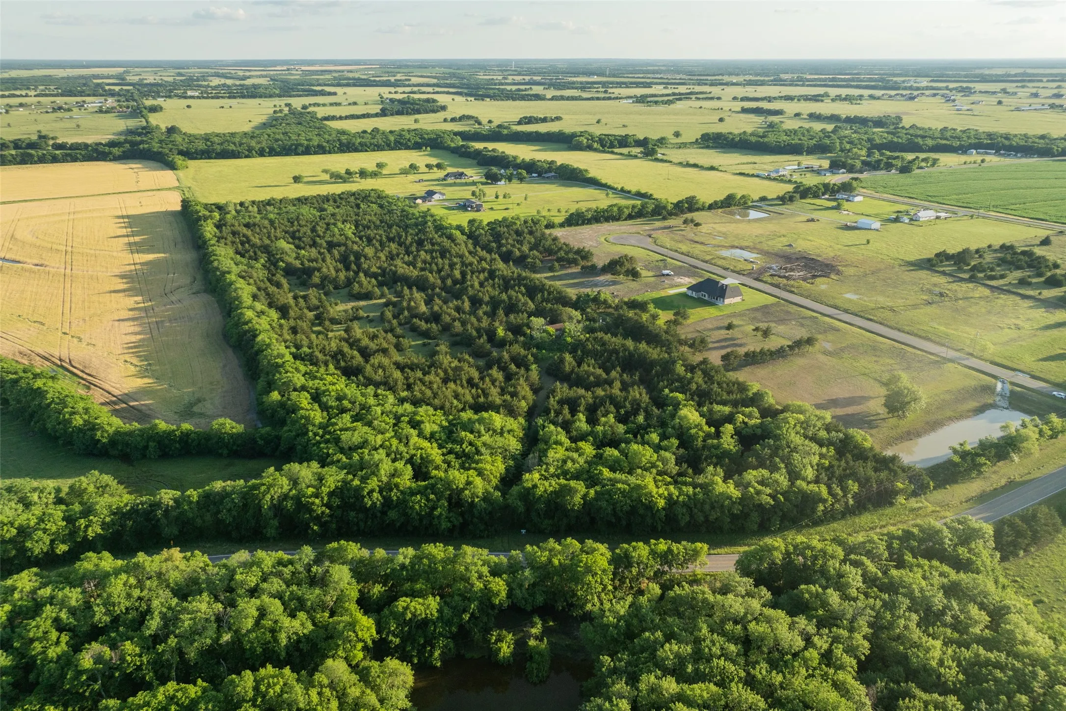 Unimproved Land For Sale in Fannin County , 3150 Fm 272, Celeste, Texas 75423, 0, 0, Garage spaces, 0 Sqft, built in 1940, mls#21273726, Real Estate Agent in Celeste, Homes For Sale in Fannin county, Homes For Sale in Celeste, Realtor in Celeste Texas, Real Estate Brokerage Independent Realty Texas, Luminita Cordes Realtor