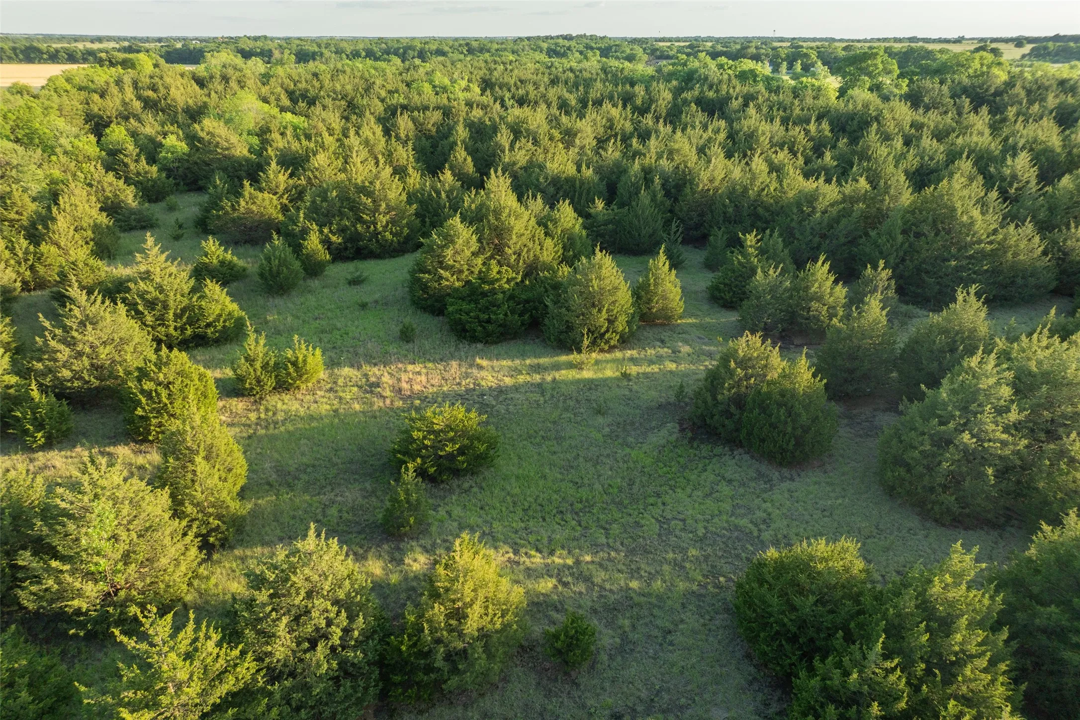 Unimproved Land For Sale in Fannin County , 3150 Fm 272, Celeste, Texas 75423, 0, 0, Garage spaces, 0 Sqft, built in 1940, mls#21273726, Real Estate Agent in Celeste, Homes For Sale in Fannin county, Homes For Sale in Celeste, Realtor in Celeste Texas, Real Estate Brokerage Independent Realty Texas, Luminita Cordes Realtor