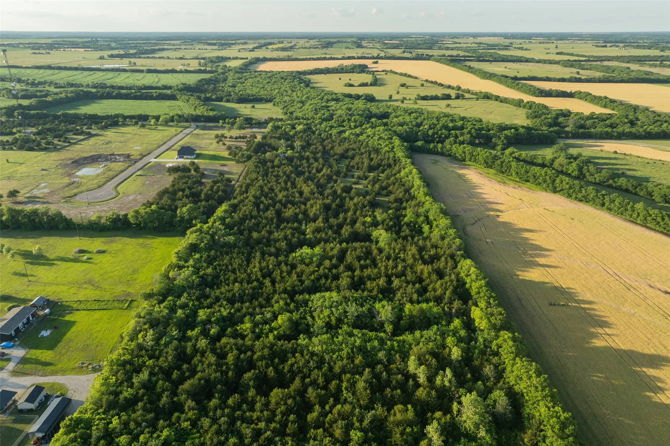 Unimproved Land For Sale in Fannin County , 3150 Fm 272, Celeste, Texas 75423, 0, 0, Garage spaces, 0 Sqft, built in 1940, mls#21273726, Real Estate Agent in Celeste, Homes For Sale in Fannin county, Homes For Sale in Celeste, Realtor in Celeste Texas, Real Estate Brokerage Independent Realty Texas, Luminita Cordes Realtor