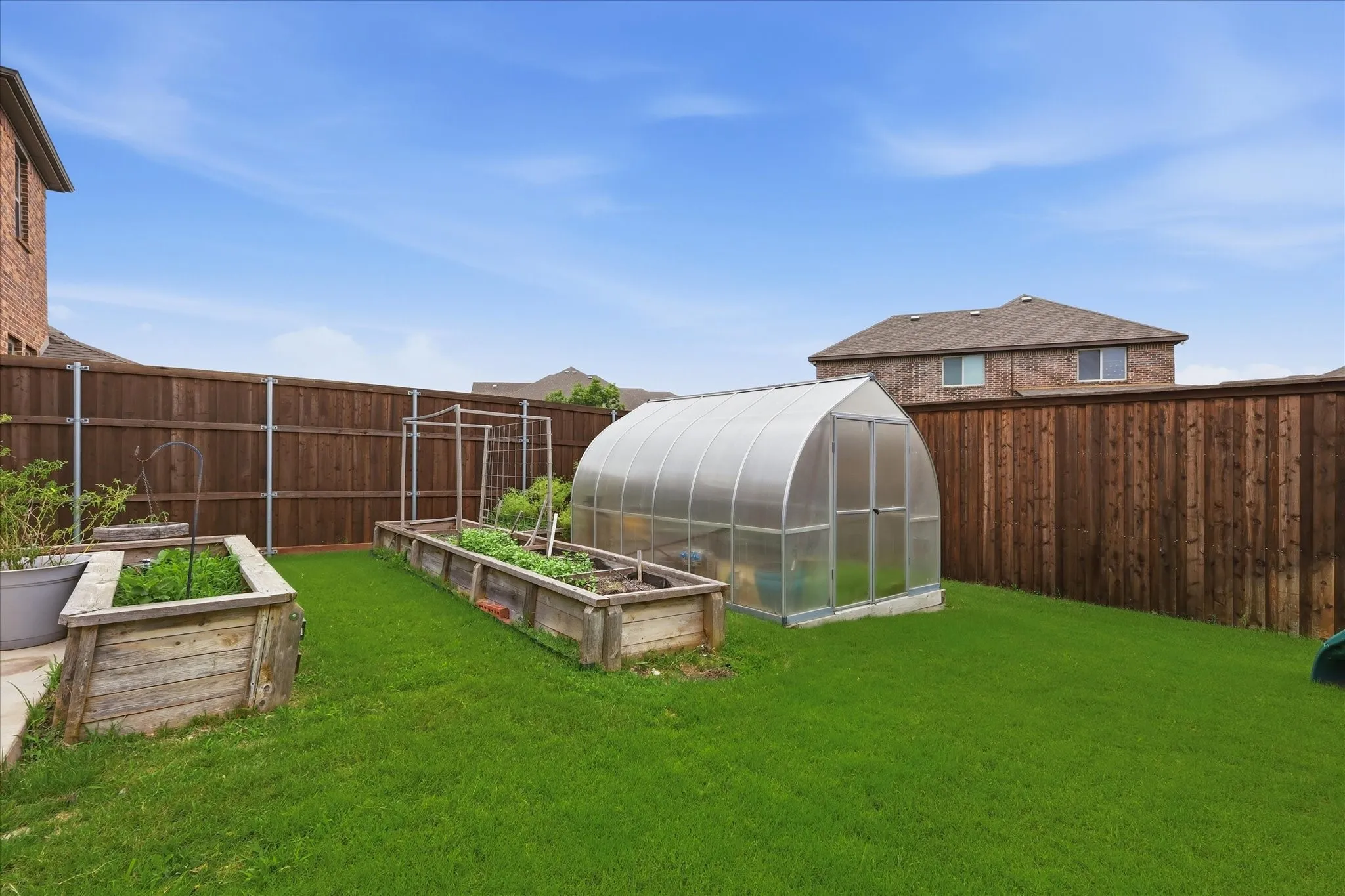 Expansive backyard featuring a lush lawn, a clear-paneled greenhouse, and two raised garden beds