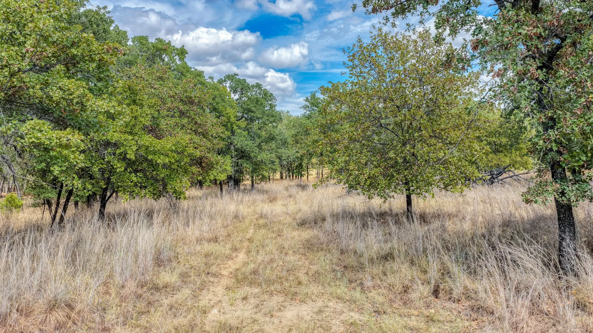 Unimproved Land For Sale in Parker County , 178 Bishop Drive, Weatherford, Texas 76088, 0, 0, Garage spaces, 0 Sqft, built in 0, mls#21264347, Real Estate Agent in Weatherford, Homes For Sale in Parker county, Homes For Sale in Weatherford, Realtor in Weatherford Texas, Real Estate Brokerage Independent Realty Texas, Luminita Cordes Realtor