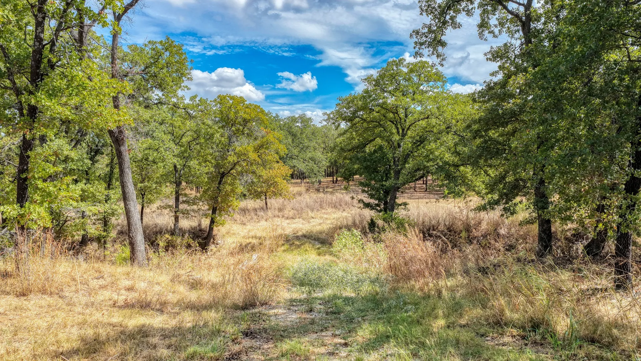Unimproved Land For Sale in Parker County , 178 Bishop Drive, Weatherford, Texas 76088, 0, 0, Garage spaces, 0 Sqft, built in 0, mls#21264347, Real Estate Agent in Weatherford, Homes For Sale in Parker county, Homes For Sale in Weatherford, Realtor in Weatherford Texas, Real Estate Brokerage Independent Realty Texas, Luminita Cordes Realtor