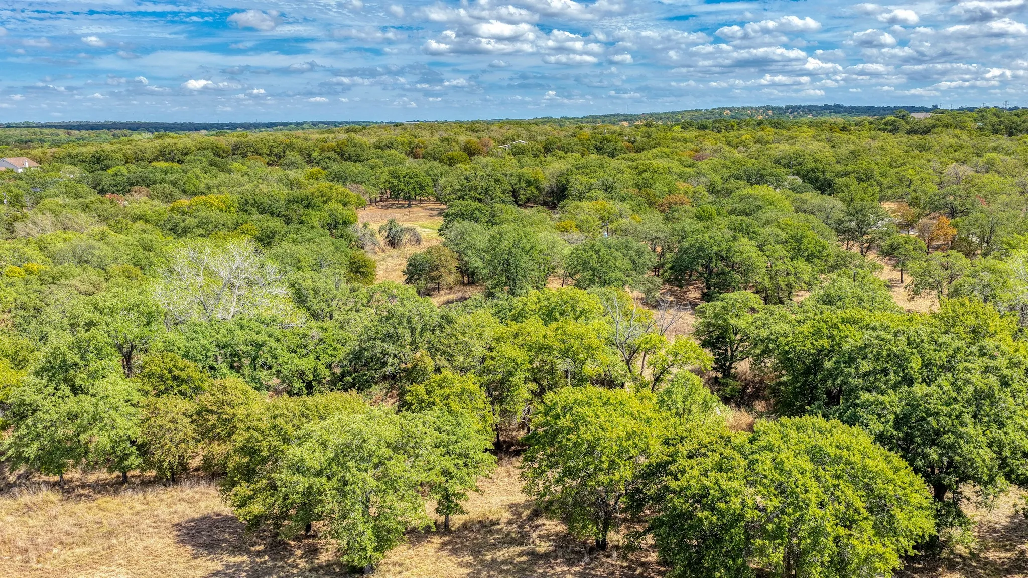 Unimproved Land For Sale in Parker County , 178 Bishop Drive, Weatherford, Texas 76088, 0, 0, Garage spaces, 0 Sqft, built in 0, mls#21264347, Real Estate Agent in Weatherford, Homes For Sale in Parker county, Homes For Sale in Weatherford, Realtor in Weatherford Texas, Real Estate Brokerage Independent Realty Texas, Luminita Cordes Realtor