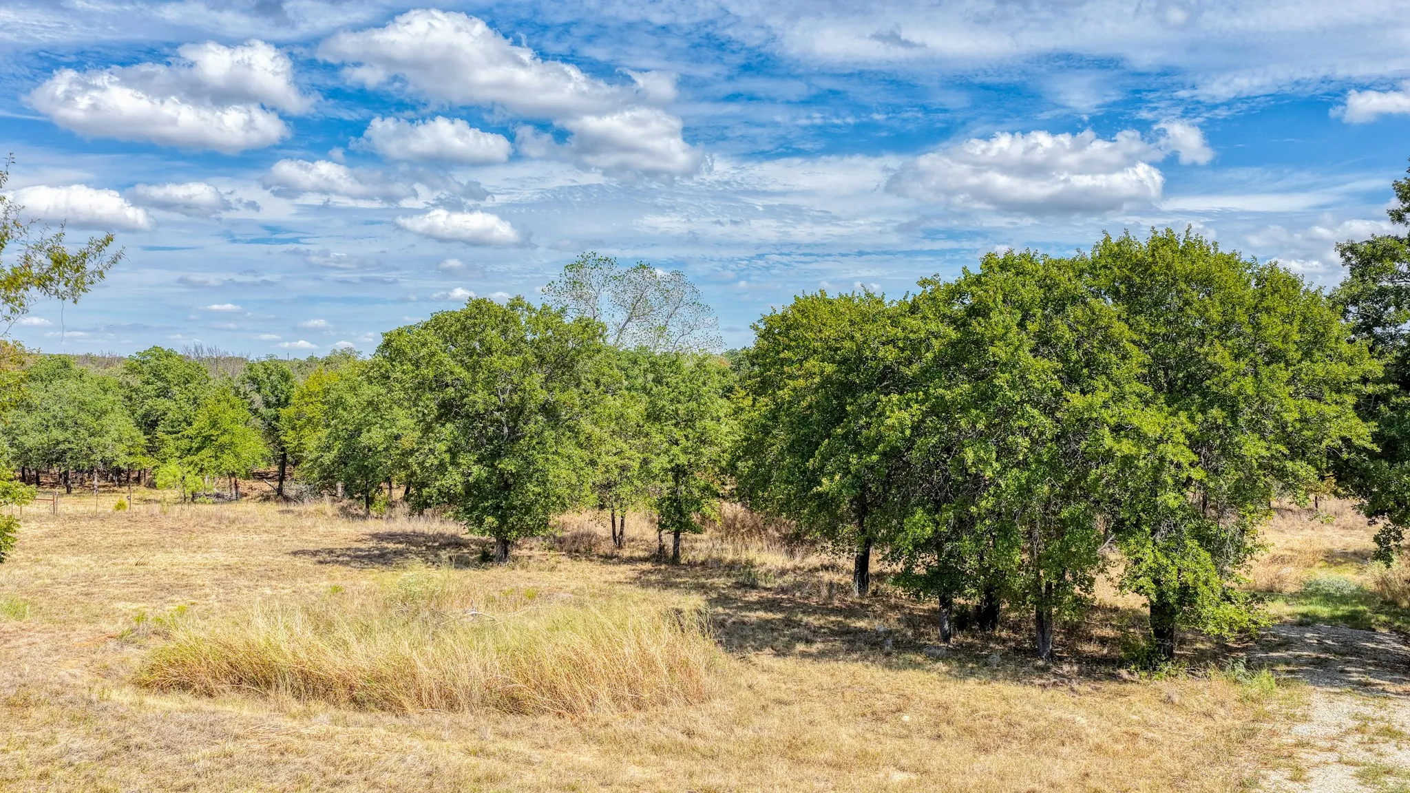 Unimproved Land For Sale in Parker County , 178 Bishop Drive, Weatherford, Texas 76088, 0, 0, Garage spaces, 0 Sqft, built in 0, mls#21264347, Real Estate Agent in Weatherford, Homes For Sale in Parker county, Homes For Sale in Weatherford, Realtor in Weatherford Texas, Real Estate Brokerage Independent Realty Texas, Luminita Cordes Realtor
