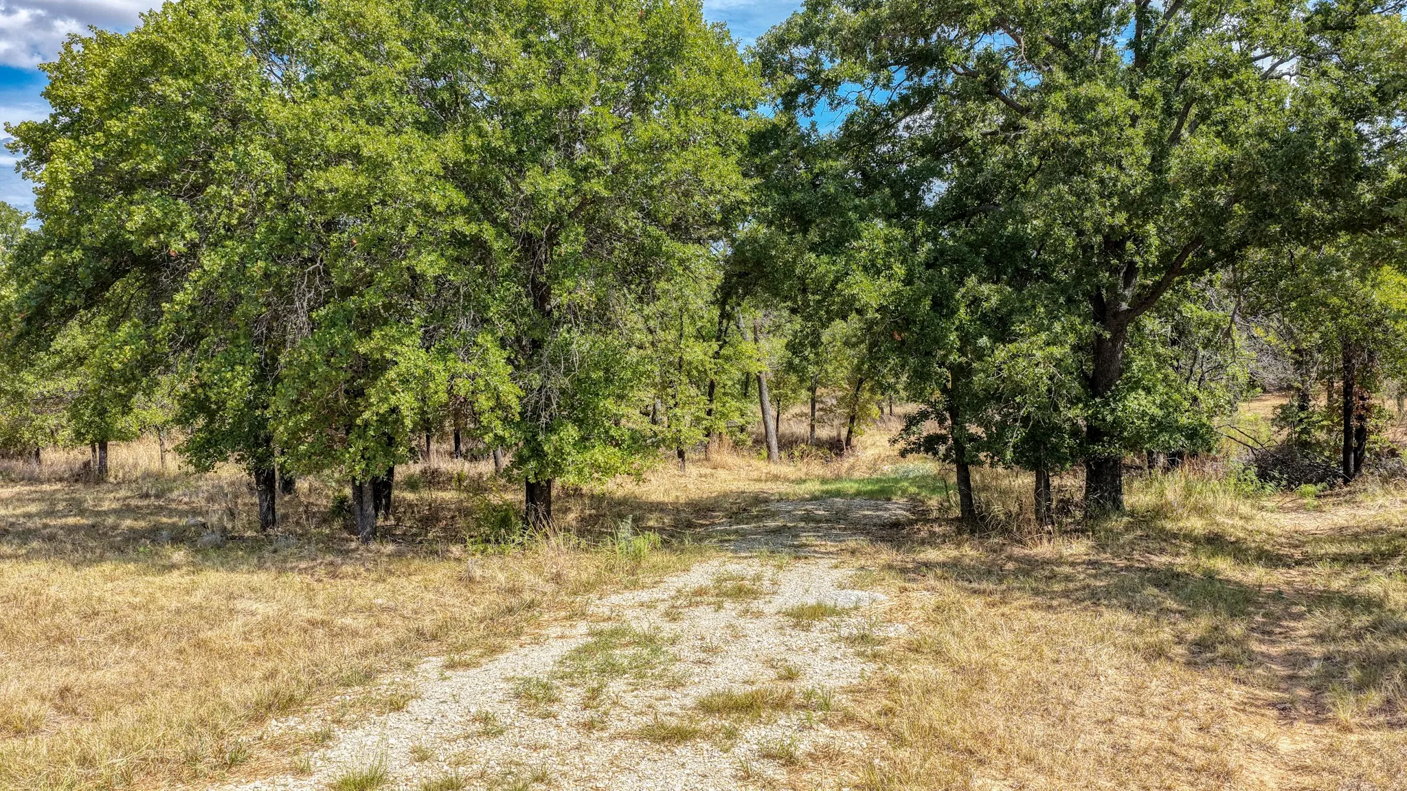 Unimproved Land For Sale in Parker County , 178 Bishop Drive, Weatherford, Texas 76088, 0, 0, Garage spaces, 0 Sqft, built in 0, mls#21264347, Real Estate Agent in Weatherford, Homes For Sale in Parker county, Homes For Sale in Weatherford, Realtor in Weatherford Texas, Real Estate Brokerage Independent Realty Texas, Luminita Cordes Realtor