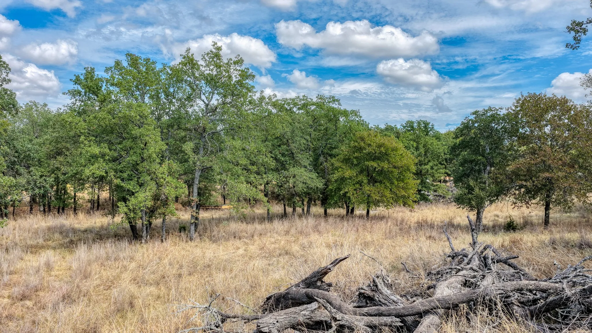 Unimproved Land For Sale in Parker County , 178 Bishop Drive, Weatherford, Texas 76088, 0, 0, Garage spaces, 0 Sqft, built in 0, mls#21264347, Real Estate Agent in Weatherford, Homes For Sale in Parker county, Homes For Sale in Weatherford, Realtor in Weatherford Texas, Real Estate Brokerage Independent Realty Texas, Luminita Cordes Realtor