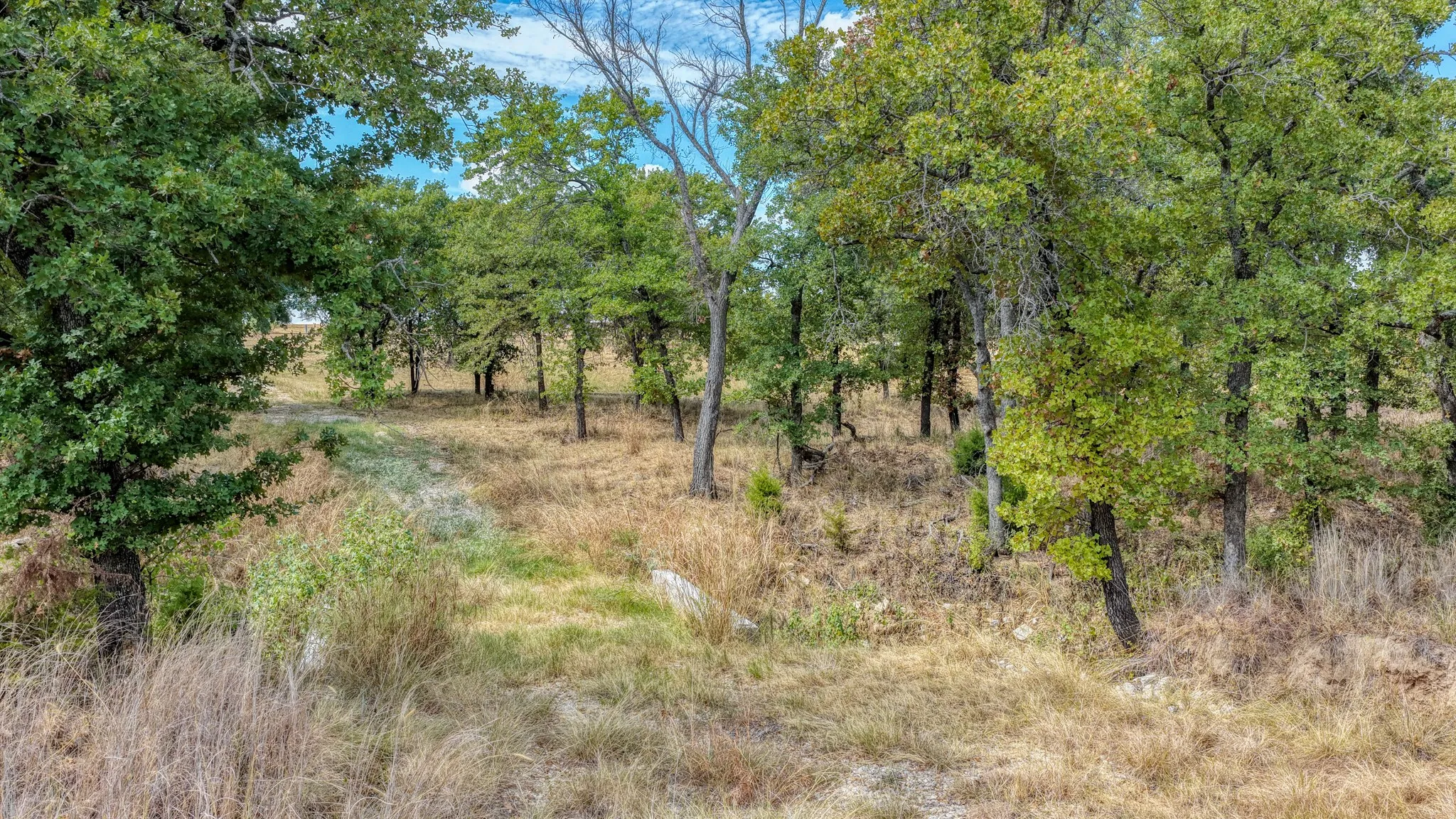 Unimproved Land For Sale in Parker County , 178 Bishop Drive, Weatherford, Texas 76088, 0, 0, Garage spaces, 0 Sqft, built in 0, mls#21264347, Real Estate Agent in Weatherford, Homes For Sale in Parker county, Homes For Sale in Weatherford, Realtor in Weatherford Texas, Real Estate Brokerage Independent Realty Texas, Luminita Cordes Realtor