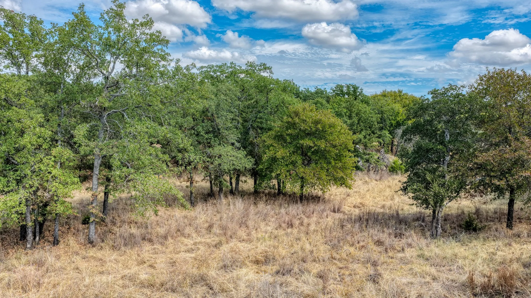 Unimproved Land For Sale in Parker County , 178 Bishop Drive, Weatherford, Texas 76088, 0, 0, Garage spaces, 0 Sqft, built in 0, mls#21264347, Real Estate Agent in Weatherford, Homes For Sale in Parker county, Homes For Sale in Weatherford, Realtor in Weatherford Texas, Real Estate Brokerage Independent Realty Texas, Luminita Cordes Realtor