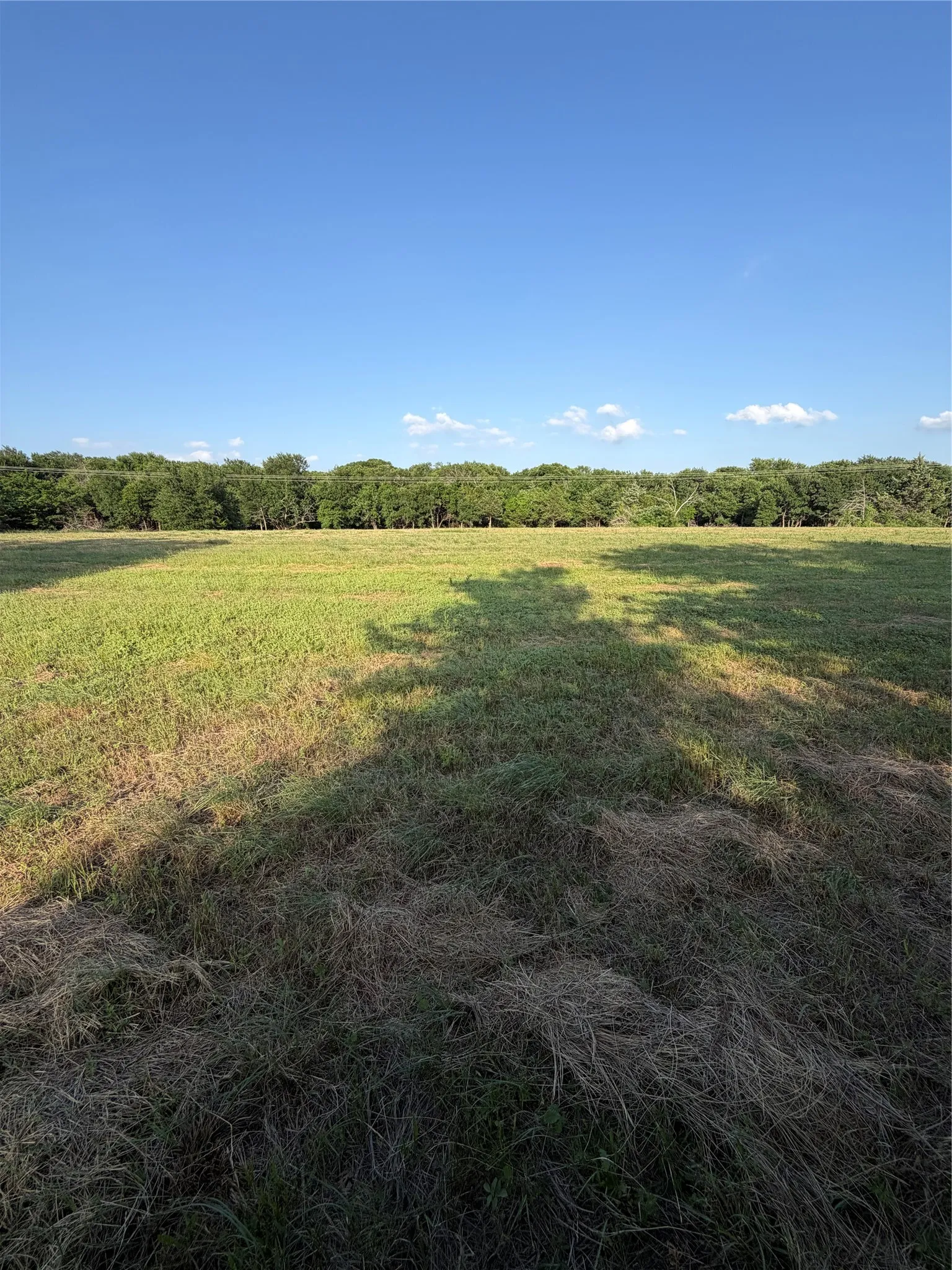 Warehouse For Sale in Grayson County , tbt 1417 F.M. 1417, Denison, Texas 75020, 0, 0, Garage spaces, 0 Sqft, built in 0, Price $313,269, mls#21276210, Real Estate Agent in Denison, Homes For Sale in Grayson county, Homes For Sale in Denison, Realtor in Denison Texas, Real Estate Brokerage Independent Realty Texas, Luminita Cordes Realtor