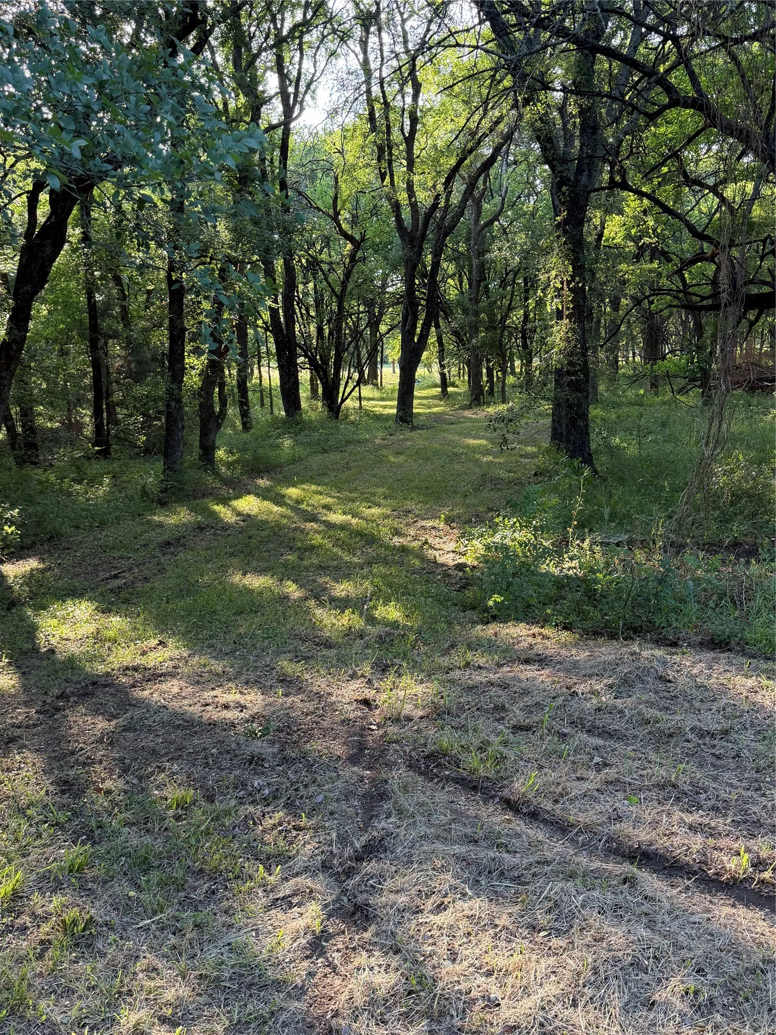 Warehouse For Sale in Grayson County , tbt 1417 F.M. 1417, Denison, Texas 75020, 0, 0, Garage spaces, 0 Sqft, built in 0, Price $313,269, mls#21276210, Real Estate Agent in Denison, Homes For Sale in Grayson county, Homes For Sale in Denison, Realtor in Denison Texas, Real Estate Brokerage Independent Realty Texas, Luminita Cordes Realtor