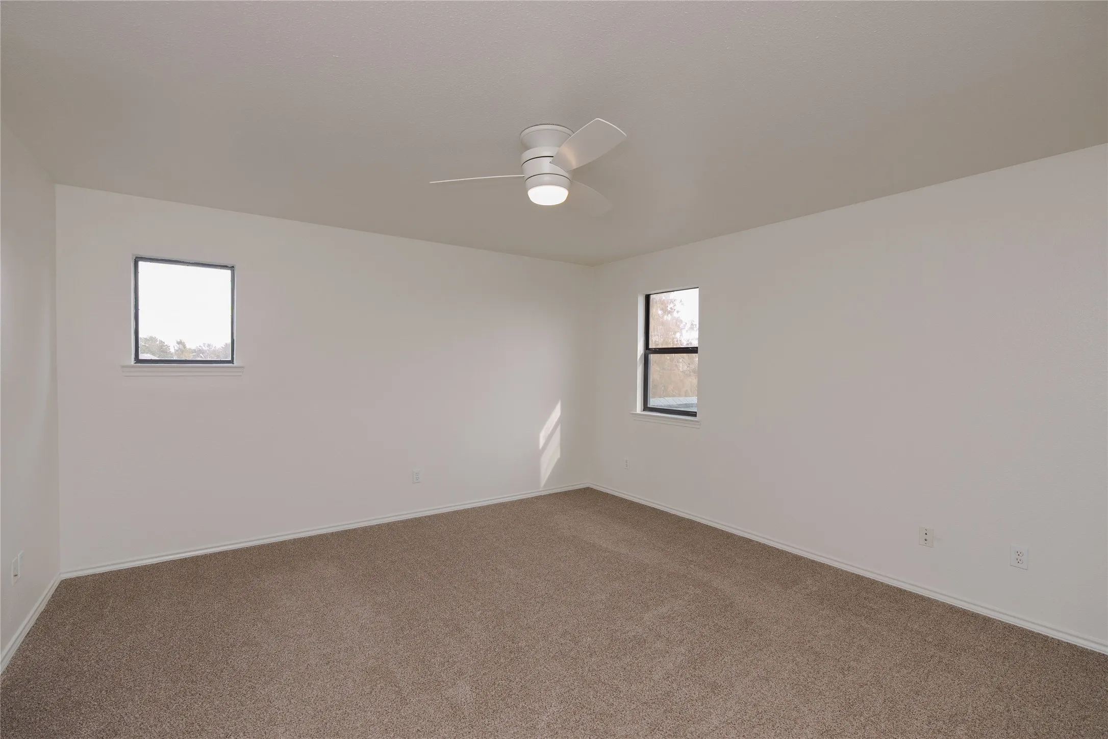 Spacious room with plush carpet flooring, neutral paint palette, two windows, and a ceiling fan with integrated lighting