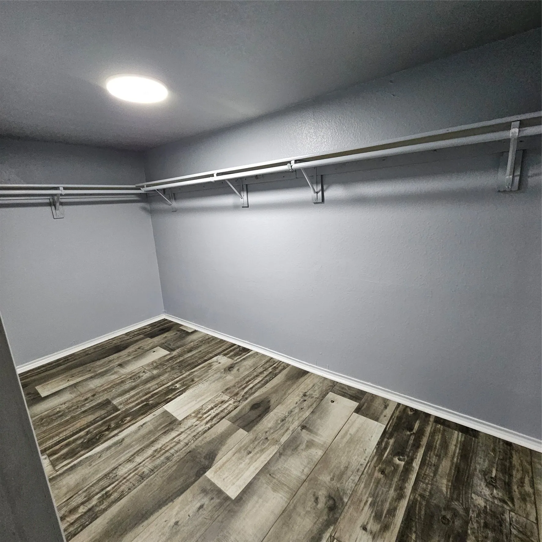 Spacious closet featuring wood-finish flooring, light gray walls, and a ceiling-mounted light fixture