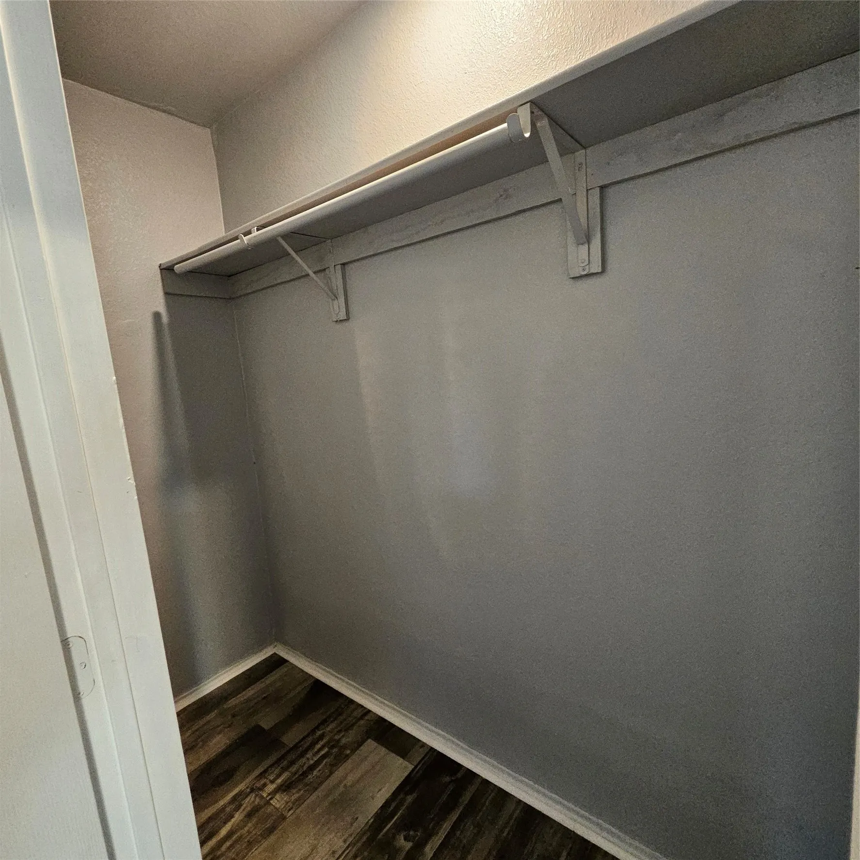 Closet with wood-finish flooring, light grey painted walls, and white trim