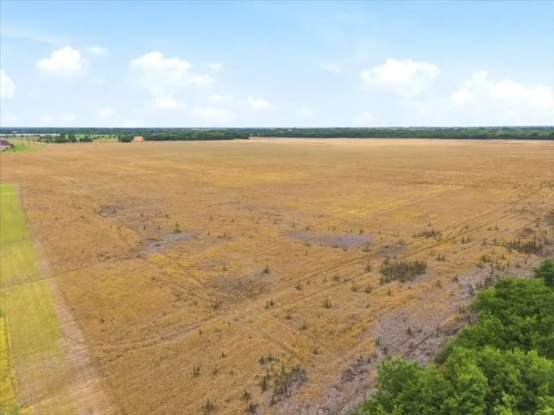 Ranch For Sale in Collin County , 22551 County Road 638, Royse City, Texas 75189, 0, 0, Garage spaces, 0 Sqft, built in 0, Price $4,300,000, mls#21276294, Real Estate Agent in Royse City, Homes For Sale in Collin county, Homes For Sale in Royse City, Realtor in Royse City Texas, Real Estate Brokerage Independent Realty Texas, Luminita Cordes Realtor