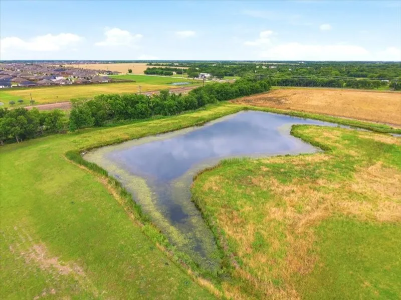 Ranch For Sale in Collin County , 22551 County Road 638, Royse City, Texas 75189, 0, 0, Garage spaces, 0 Sqft, built in 0, Price $4,300,000, mls#21276294, Real Estate Agent in Royse City, Homes For Sale in Collin county, Homes For Sale in Royse City, Realtor in Royse City Texas, Real Estate Brokerage Independent Realty Texas, Luminita Cordes Realtor