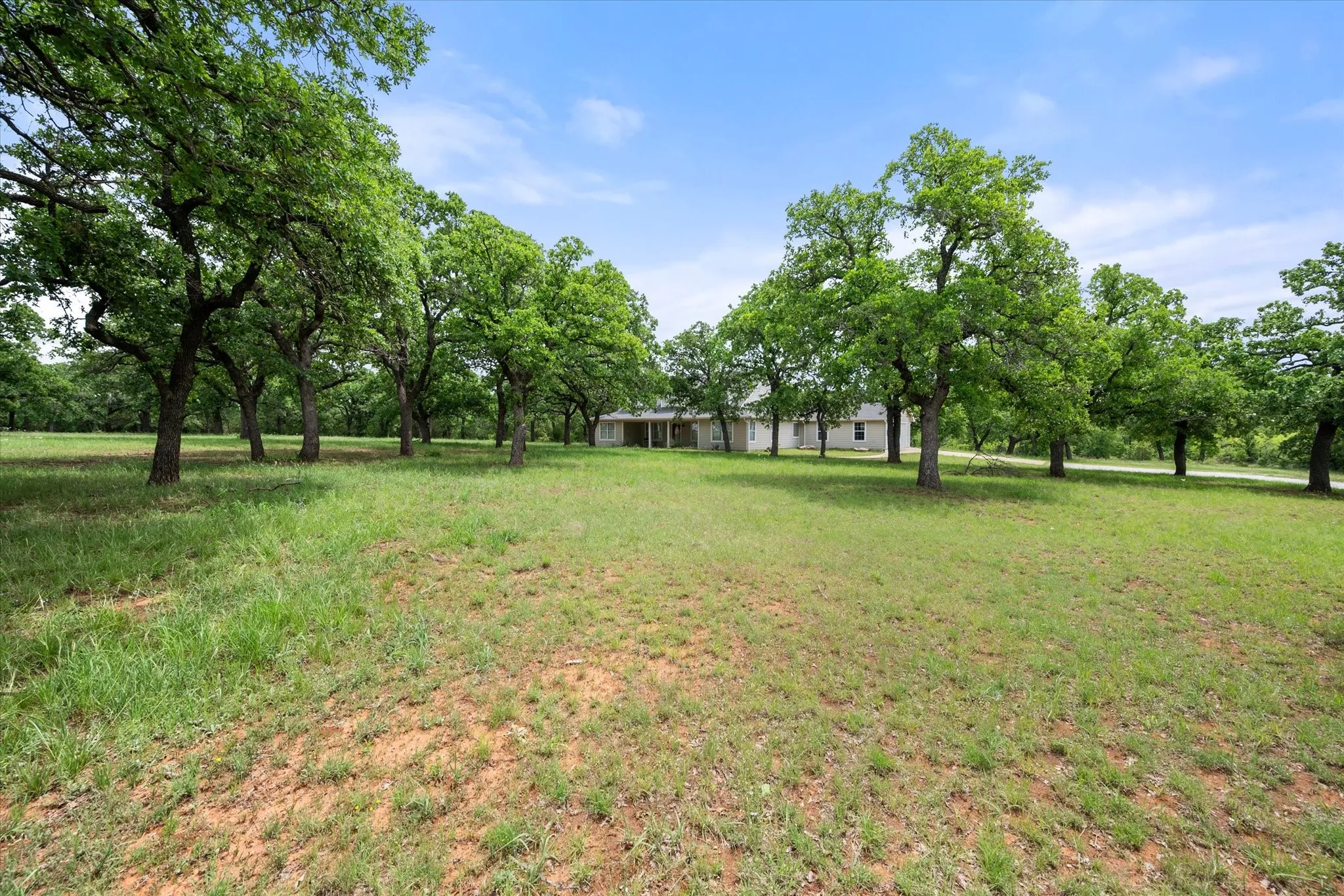 Expansive grassy terrain featuring numerous mature trees with lush green foliage