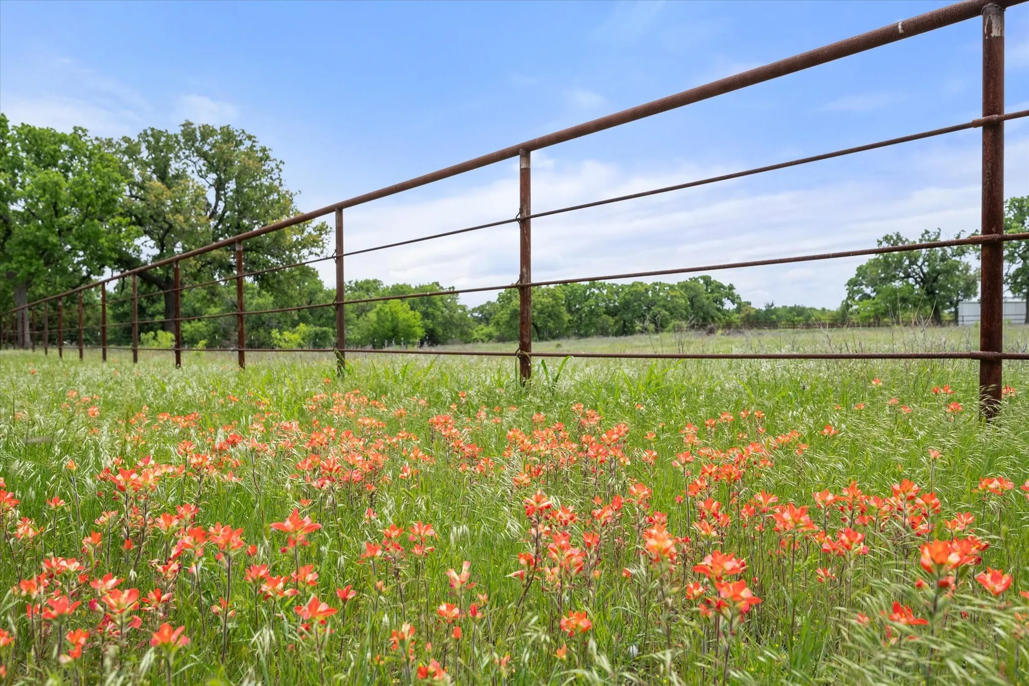 Expansive open field featuring a robust metal fence and natural foliage