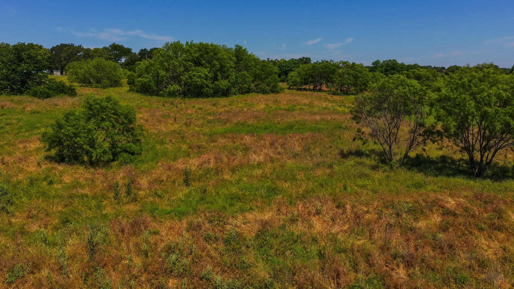 Unimproved Land For Sale in Wise County , TBD County Road 4360, Decatur, Texas 76234, 0, 0, Garage spaces, 0 Sqft, built in 0, mls#21274231, Real Estate Agent in Decatur, Homes For Sale in Wise county, Homes For Sale in Decatur, Realtor in Decatur Texas, Real Estate Brokerage Independent Realty Texas, Luminita Cordes Realtor