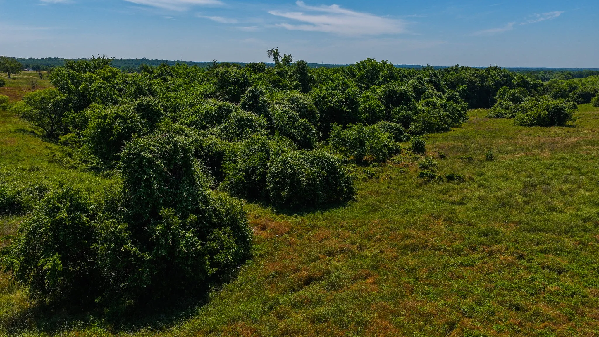 Unimproved Land For Sale in Wise County , TBD County Road 4360, Decatur, Texas 76234, 0, 0, Garage spaces, 0 Sqft, built in 0, mls#21274231, Real Estate Agent in Decatur, Homes For Sale in Wise county, Homes For Sale in Decatur, Realtor in Decatur Texas, Real Estate Brokerage Independent Realty Texas, Luminita Cordes Realtor
