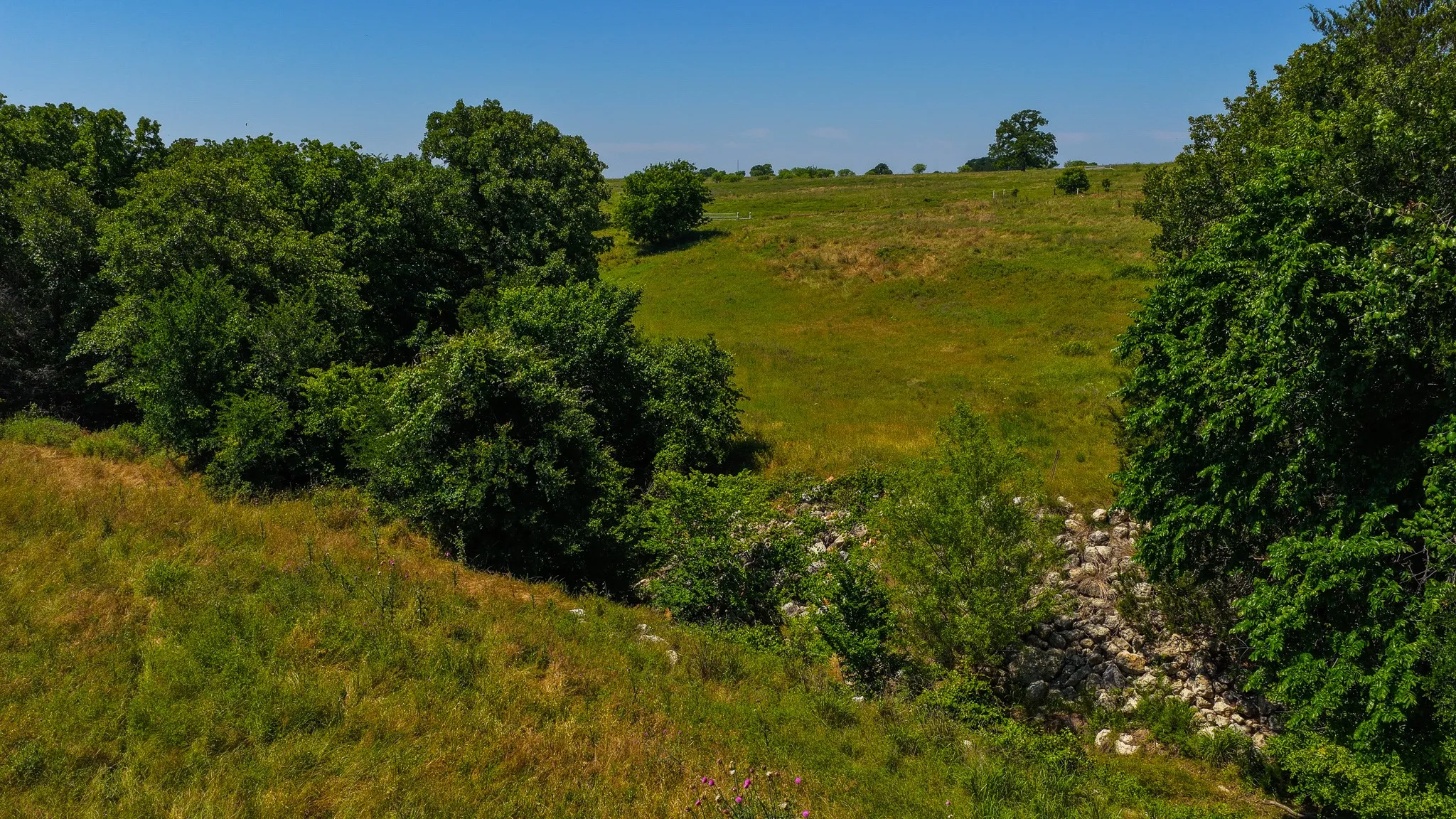 Unimproved Land For Sale in Wise County , TBD County Road 4360, Decatur, Texas 76234, 0, 0, Garage spaces, 0 Sqft, built in 0, mls#21274231, Real Estate Agent in Decatur, Homes For Sale in Wise county, Homes For Sale in Decatur, Realtor in Decatur Texas, Real Estate Brokerage Independent Realty Texas, Luminita Cordes Realtor