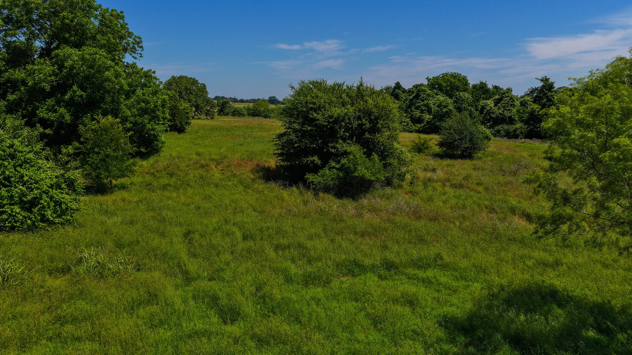 Unimproved Land For Sale in Wise County , TBD County Road 4360, Decatur, Texas 76234, 0, 0, Garage spaces, 0 Sqft, built in 0, mls#21274231, Real Estate Agent in Decatur, Homes For Sale in Wise county, Homes For Sale in Decatur, Realtor in Decatur Texas, Real Estate Brokerage Independent Realty Texas, Luminita Cordes Realtor