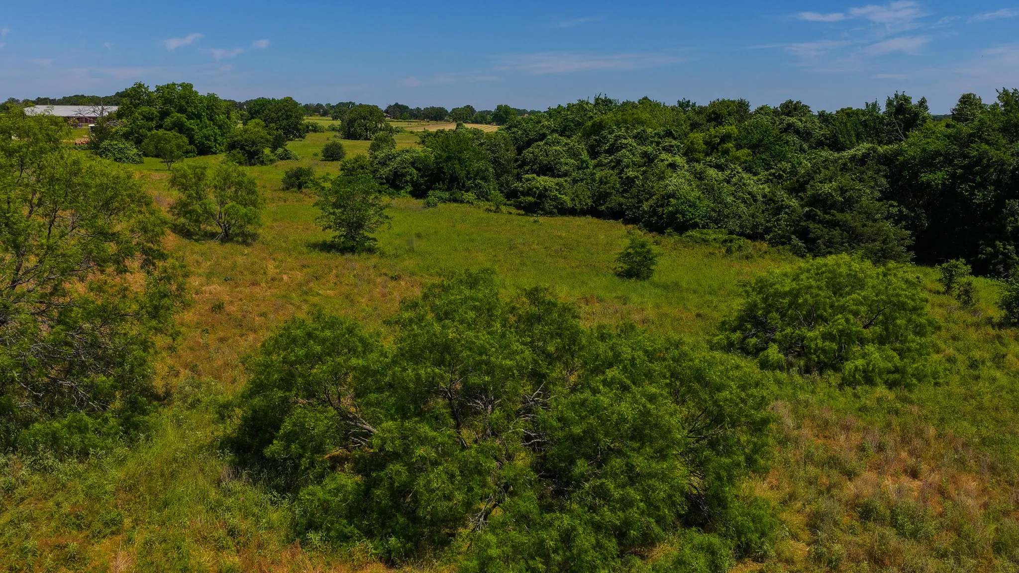 Unimproved Land For Sale in Wise County , TBD County Road 4360, Decatur, Texas 76234, 0, 0, Garage spaces, 0 Sqft, built in 0, mls#21274231, Real Estate Agent in Decatur, Homes For Sale in Wise county, Homes For Sale in Decatur, Realtor in Decatur Texas, Real Estate Brokerage Independent Realty Texas, Luminita Cordes Realtor