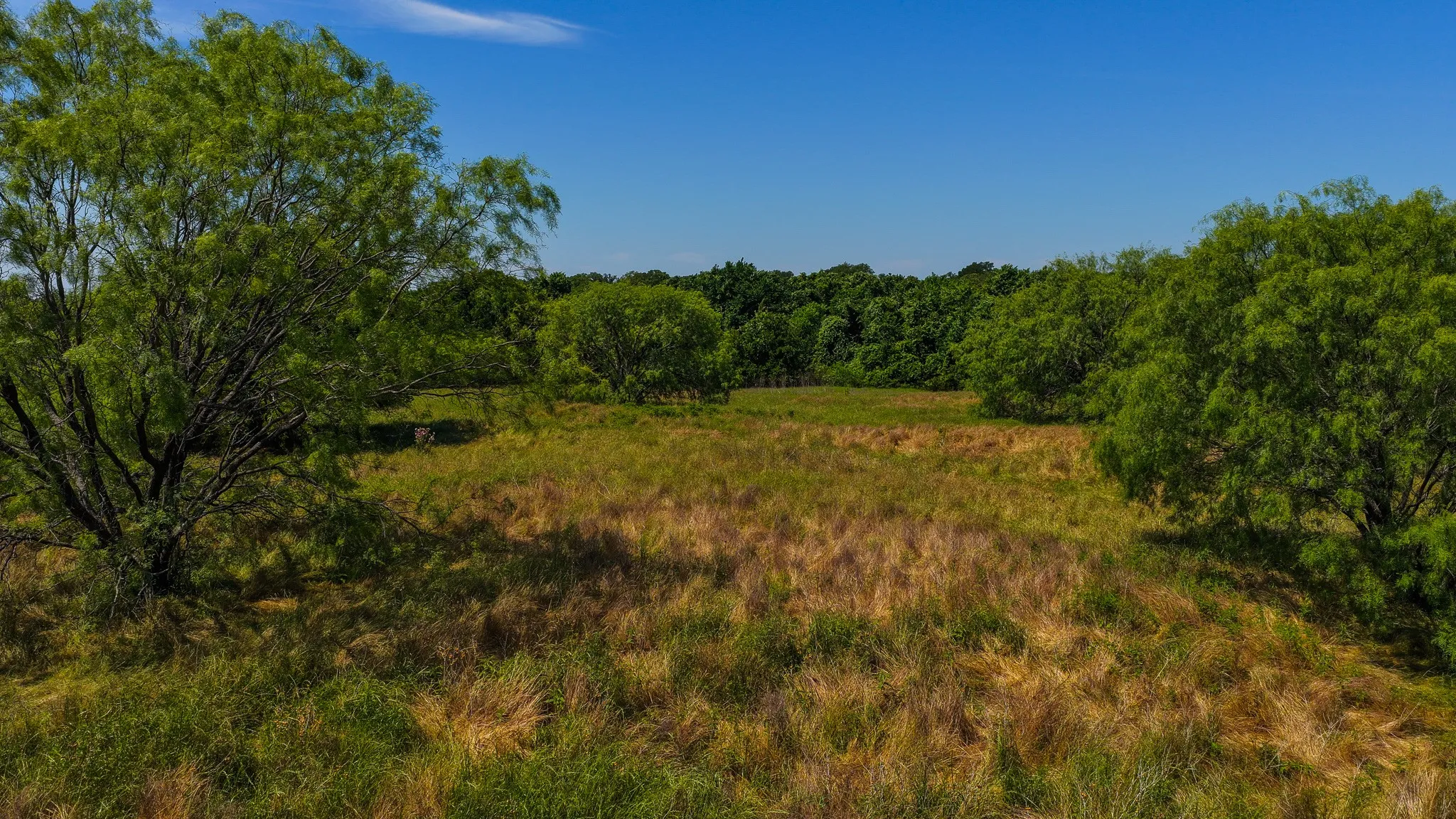 Unimproved Land For Sale in Wise County , TBD County Road 4360, Decatur, Texas 76234, 0, 0, Garage spaces, 0 Sqft, built in 0, mls#21274231, Real Estate Agent in Decatur, Homes For Sale in Wise county, Homes For Sale in Decatur, Realtor in Decatur Texas, Real Estate Brokerage Independent Realty Texas, Luminita Cordes Realtor