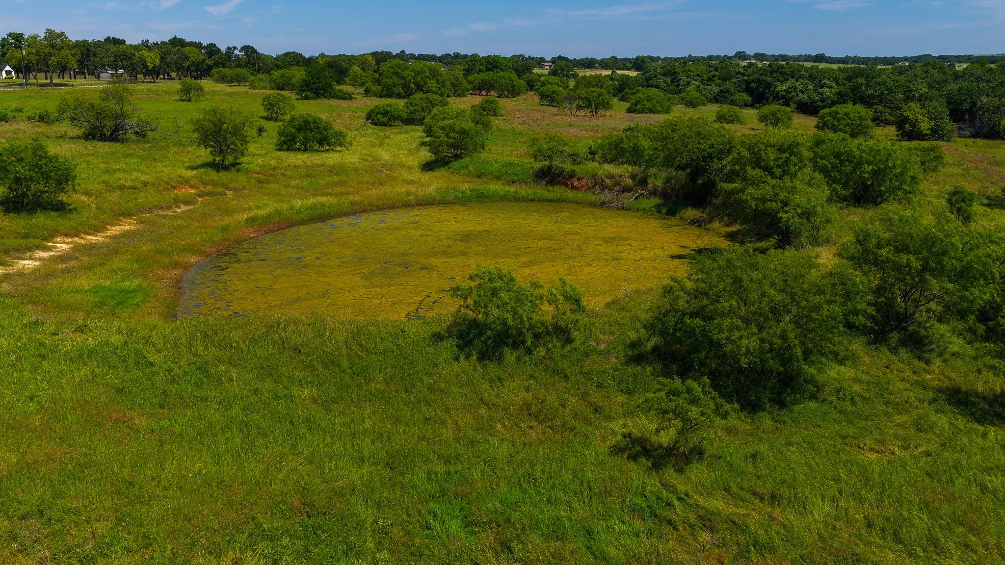 Unimproved Land For Sale in Wise County , TBD County Road 4360, Decatur, Texas 76234, 0, 0, Garage spaces, 0 Sqft, built in 0, mls#21274231, Real Estate Agent in Decatur, Homes For Sale in Wise county, Homes For Sale in Decatur, Realtor in Decatur Texas, Real Estate Brokerage Independent Realty Texas, Luminita Cordes Realtor