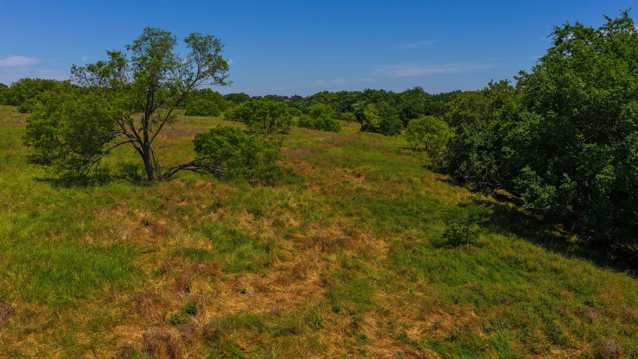 Unimproved Land For Sale in Wise County , TBD County Road 4360, Decatur, Texas 76234, 0, 0, Garage spaces, 0 Sqft, built in 0, mls#21274231, Real Estate Agent in Decatur, Homes For Sale in Wise county, Homes For Sale in Decatur, Realtor in Decatur Texas, Real Estate Brokerage Independent Realty Texas, Luminita Cordes Realtor