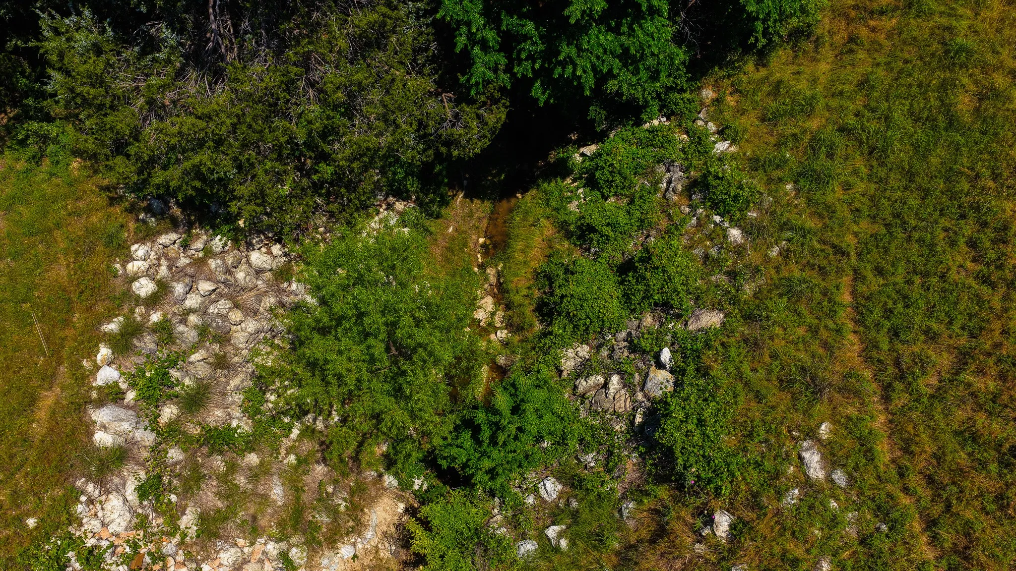 Unimproved Land For Sale in Wise County , TBD County Road 4360, Decatur, Texas 76234, 0, 0, Garage spaces, 0 Sqft, built in 0, mls#21274231, Real Estate Agent in Decatur, Homes For Sale in Wise county, Homes For Sale in Decatur, Realtor in Decatur Texas, Real Estate Brokerage Independent Realty Texas, Luminita Cordes Realtor