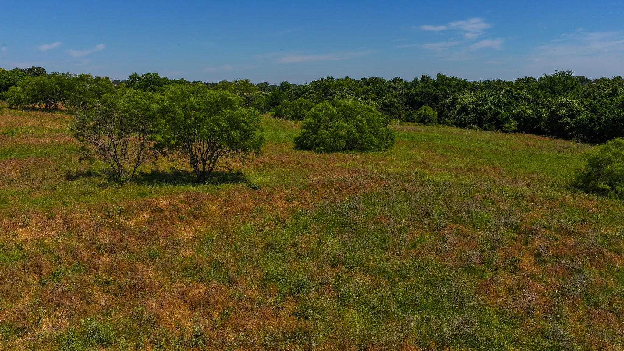 Unimproved Land For Sale in Wise County , TBD County Road 4360, Decatur, Texas 76234, 0, 0, Garage spaces, 0 Sqft, built in 0, mls#21274231, Real Estate Agent in Decatur, Homes For Sale in Wise county, Homes For Sale in Decatur, Realtor in Decatur Texas, Real Estate Brokerage Independent Realty Texas, Luminita Cordes Realtor