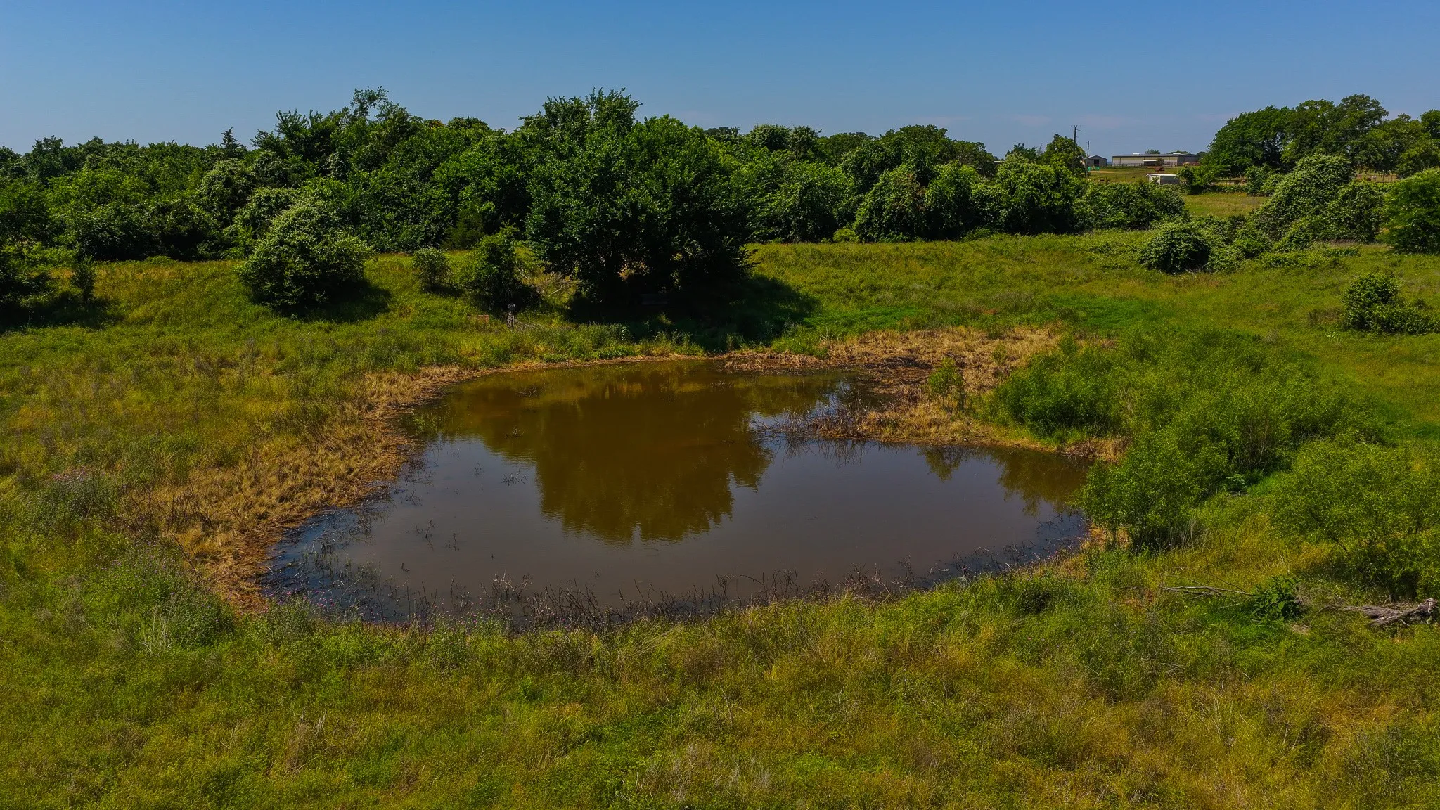 Unimproved Land For Sale in Wise County , TBD County Road 4360, Decatur, Texas 76234, 0, 0, Garage spaces, 0 Sqft, built in 0, mls#21274231, Real Estate Agent in Decatur, Homes For Sale in Wise county, Homes For Sale in Decatur, Realtor in Decatur Texas, Real Estate Brokerage Independent Realty Texas, Luminita Cordes Realtor