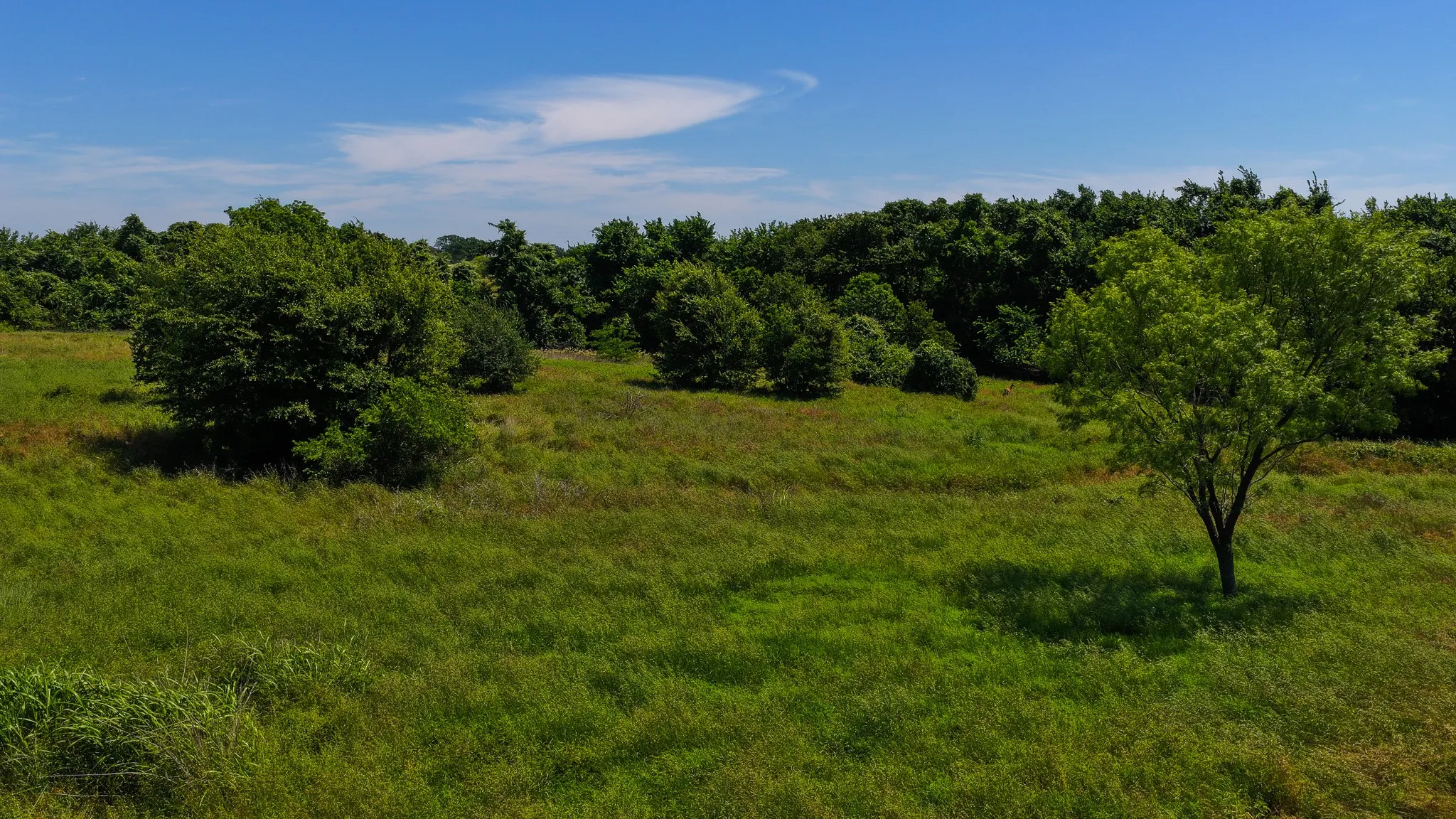 Unimproved Land For Sale in Wise County , TBD County Road 4360, Decatur, Texas 76234, 0, 0, Garage spaces, 0 Sqft, built in 0, mls#21274231, Real Estate Agent in Decatur, Homes For Sale in Wise county, Homes For Sale in Decatur, Realtor in Decatur Texas, Real Estate Brokerage Independent Realty Texas, Luminita Cordes Realtor