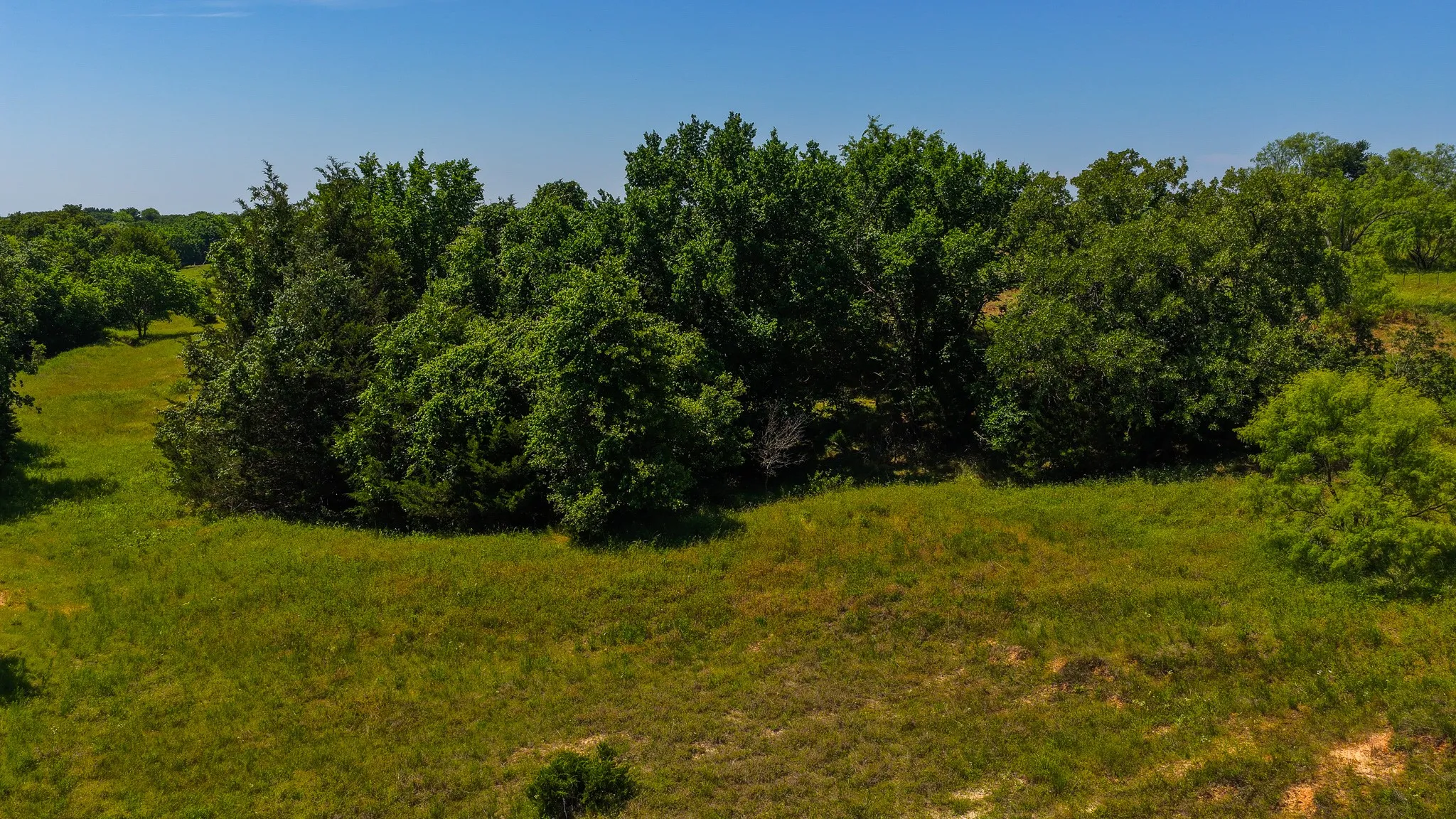 Unimproved Land For Sale in Wise County , TBD County Road 4360, Decatur, Texas 76234, 0, 0, Garage spaces, 0 Sqft, built in 0, mls#21274231, Real Estate Agent in Decatur, Homes For Sale in Wise county, Homes For Sale in Decatur, Realtor in Decatur Texas, Real Estate Brokerage Independent Realty Texas, Luminita Cordes Realtor