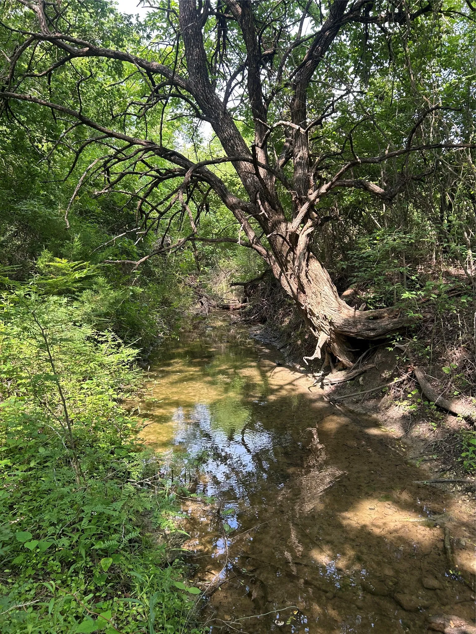creek