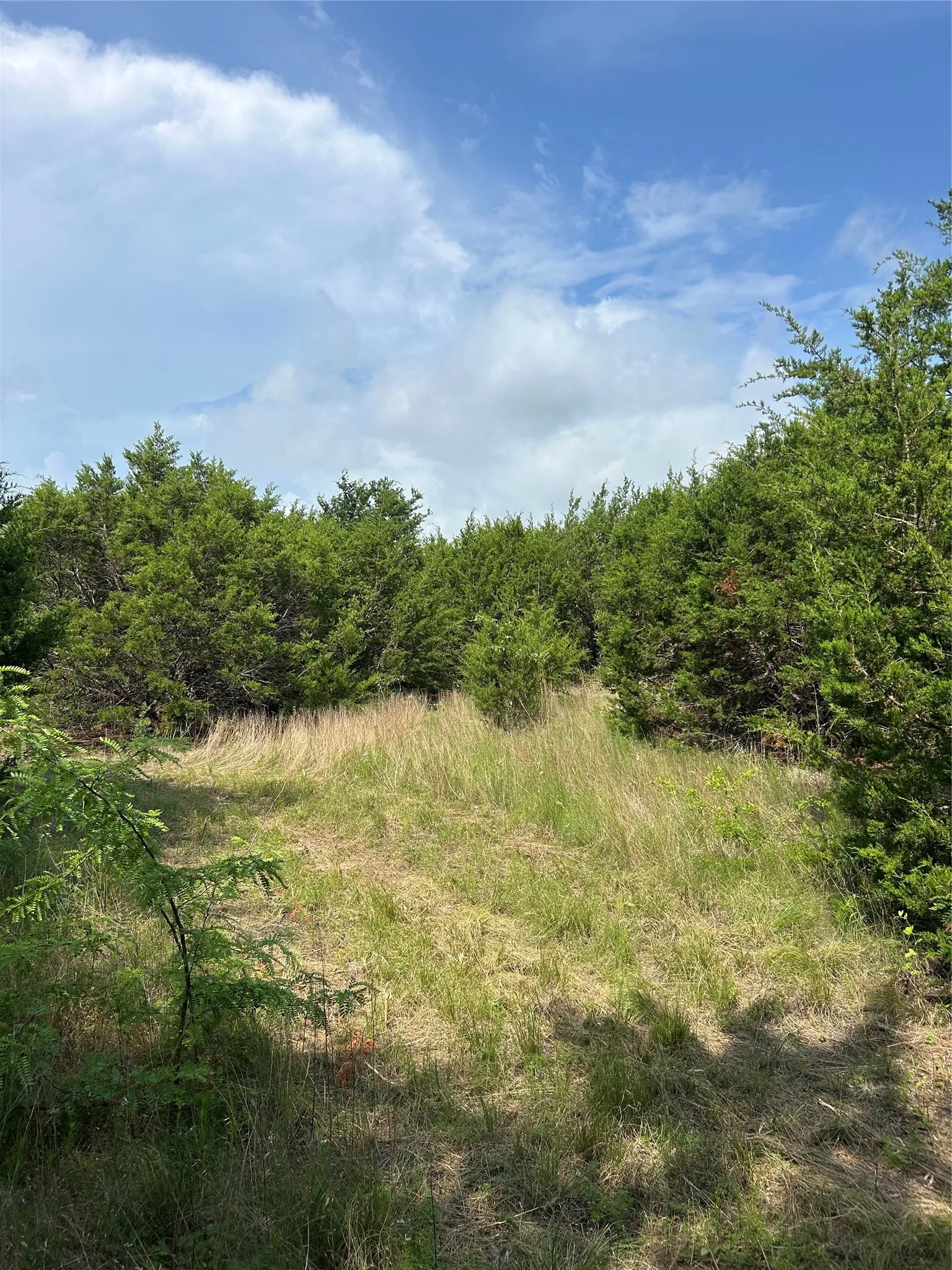 Improved Land For Sale in Johnson County , 3049 FM 1434, Cleburne, Texas 76033, 0, 0, Garage spaces, 0 Sqft, built in 0, Price $989,840, mls#21276358, Real Estate Agent in Cleburne, Homes For Sale in Johnson county, Homes For Sale in Cleburne, Realtor in Cleburne Texas, Real Estate Brokerage Independent Realty Texas, Luminita Cordes Realtor