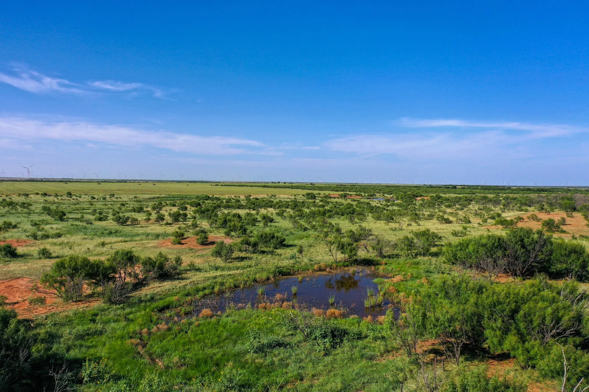 Ranch For Sale in Haskell County , TBD CR 235, 227, Haskell, Texas 79521, 0, 0, Garage spaces, 0 Sqft, built in 0, Price $6,532,953, mls#21266868, Real Estate Agent in Haskell, Homes For Sale in Haskell county, Homes For Sale in Haskell, Realtor in Haskell Texas, Real Estate Brokerage Independent Realty Texas, Luminita Cordes Realtor