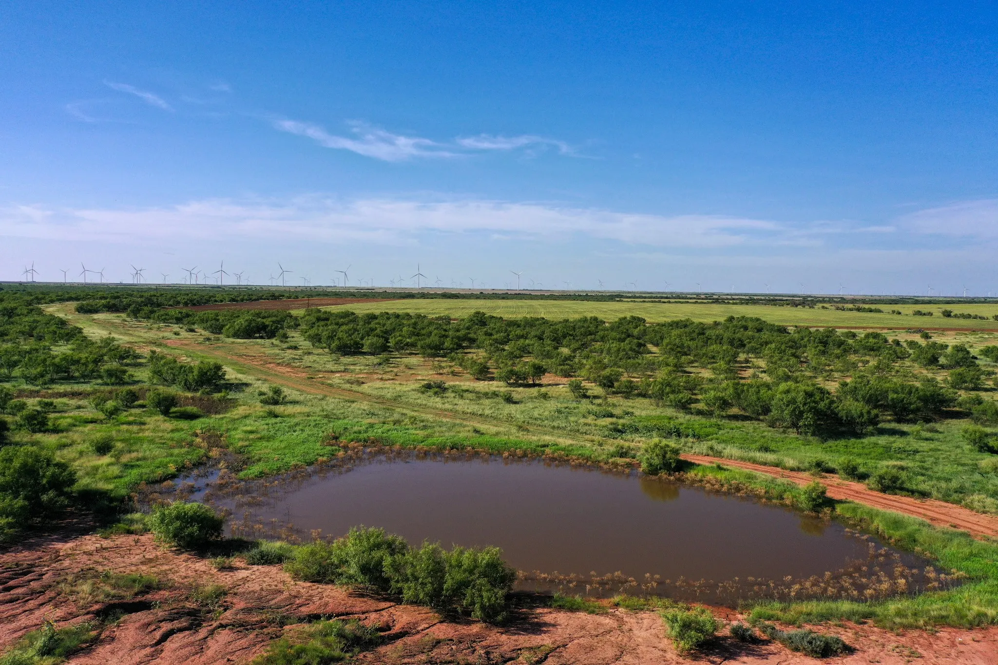 Ranch For Sale in Haskell County , TBD CR 235, 227, Haskell, Texas 79521, 0, 0, Garage spaces, 0 Sqft, built in 0, Price $6,532,953, mls#21266868, Real Estate Agent in Haskell, Homes For Sale in Haskell county, Homes For Sale in Haskell, Realtor in Haskell Texas, Real Estate Brokerage Independent Realty Texas, Luminita Cordes Realtor