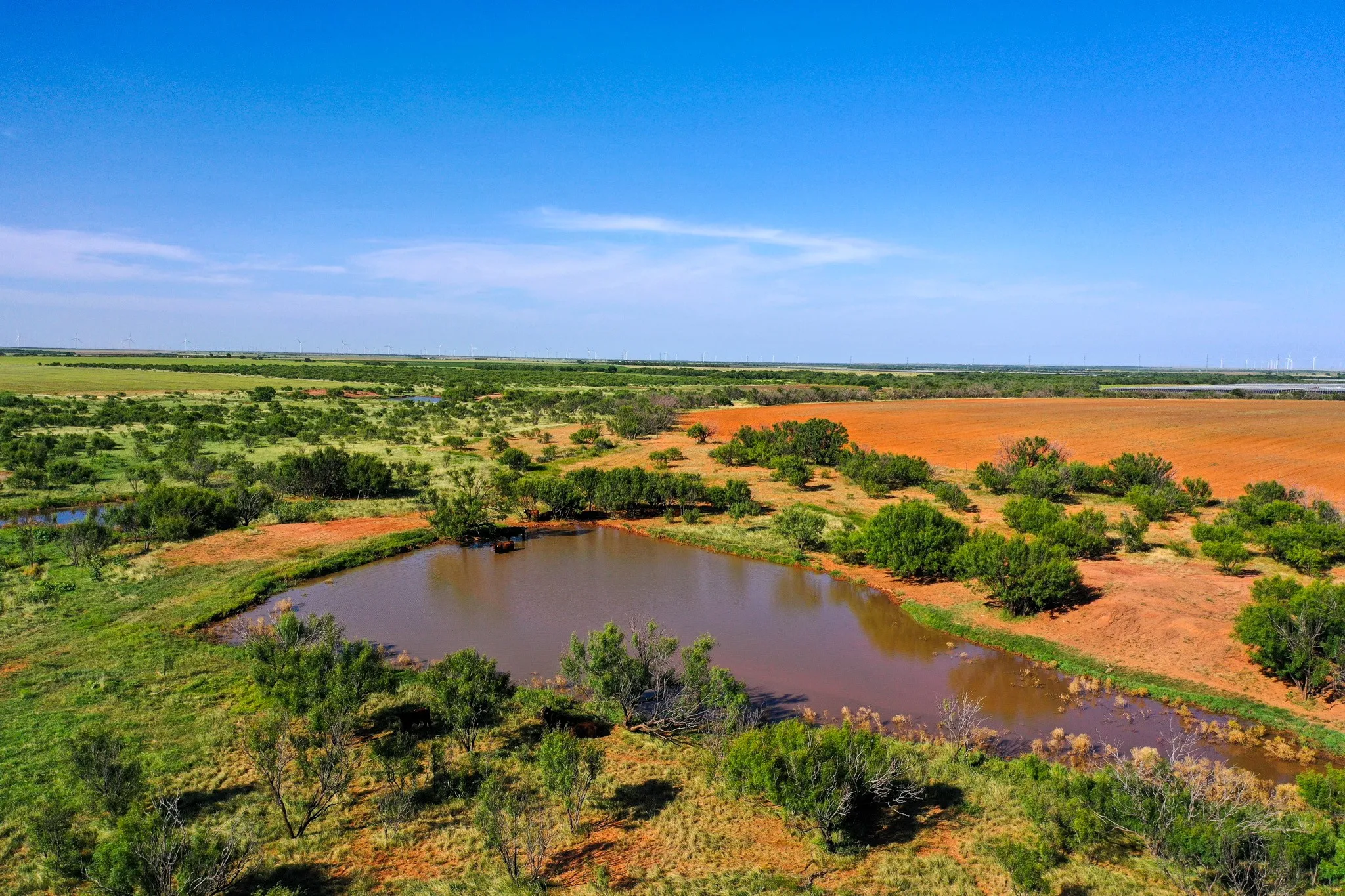Ranch For Sale in Haskell County , TBD CR 235, 227, Haskell, Texas 79521, 0, 0, Garage spaces, 0 Sqft, built in 0, Price $6,532,953, mls#21266868, Real Estate Agent in Haskell, Homes For Sale in Haskell county, Homes For Sale in Haskell, Realtor in Haskell Texas, Real Estate Brokerage Independent Realty Texas, Luminita Cordes Realtor