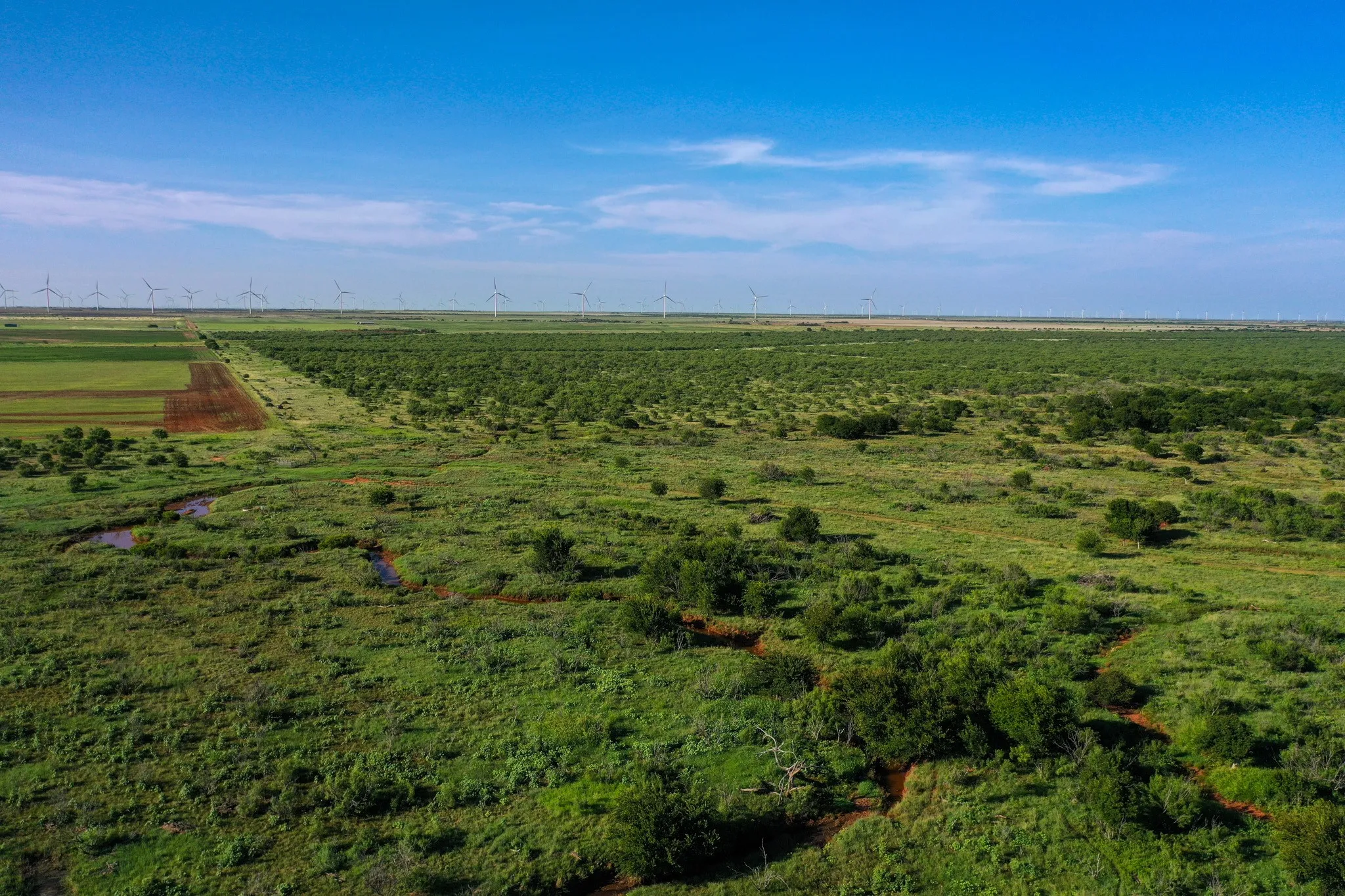 Ranch For Sale in Haskell County , TBD CR 235, 227, Haskell, Texas 79521, 0, 0, Garage spaces, 0 Sqft, built in 0, Price $6,532,953, mls#21266868, Real Estate Agent in Haskell, Homes For Sale in Haskell county, Homes For Sale in Haskell, Realtor in Haskell Texas, Real Estate Brokerage Independent Realty Texas, Luminita Cordes Realtor