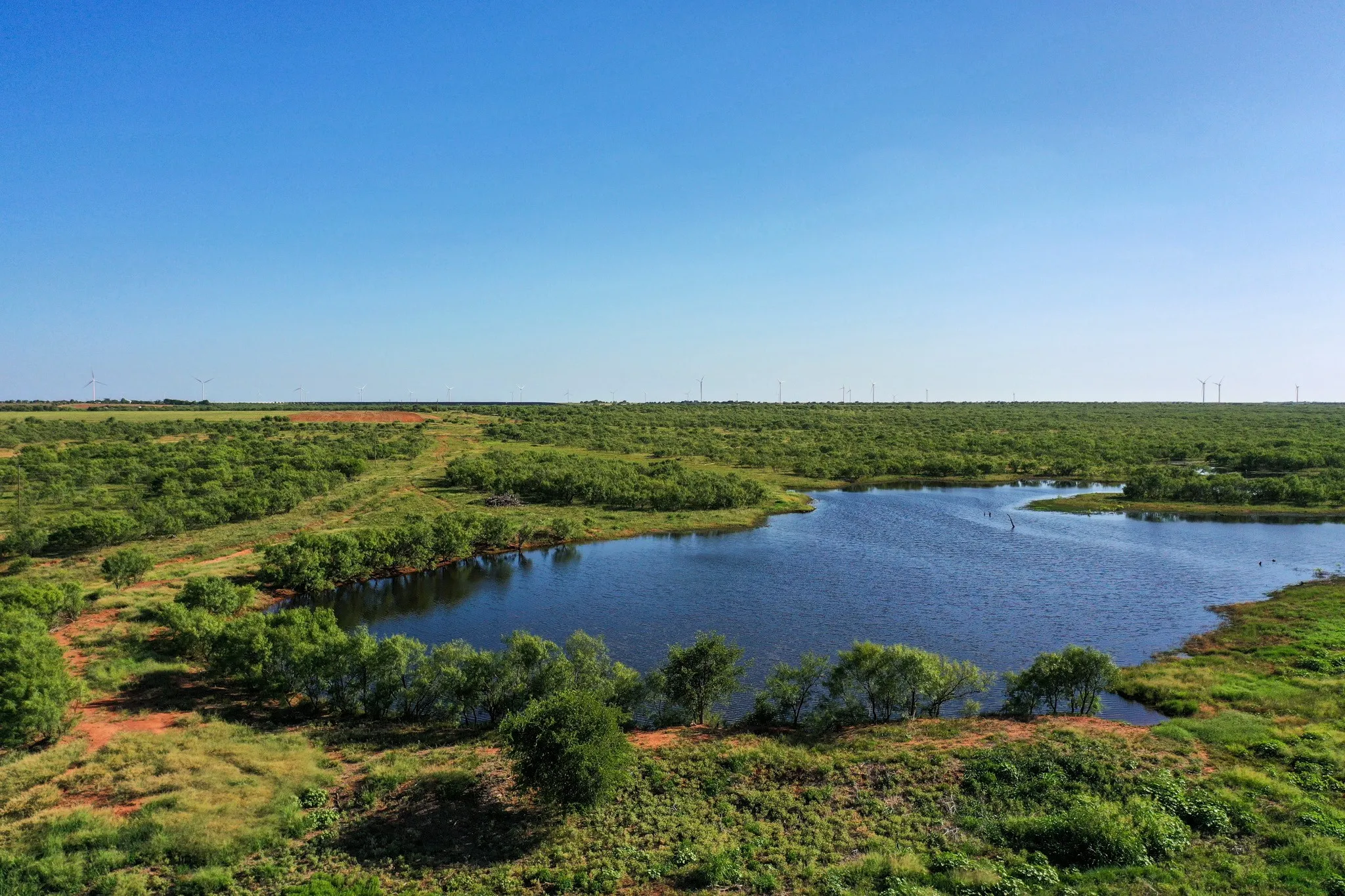 Ranch For Sale in Haskell County , TBD CR 235, 227, Haskell, Texas 79521, 0, 0, Garage spaces, 0 Sqft, built in 0, Price $6,532,953, mls#21266868, Real Estate Agent in Haskell, Homes For Sale in Haskell county, Homes For Sale in Haskell, Realtor in Haskell Texas, Real Estate Brokerage Independent Realty Texas, Luminita Cordes Realtor