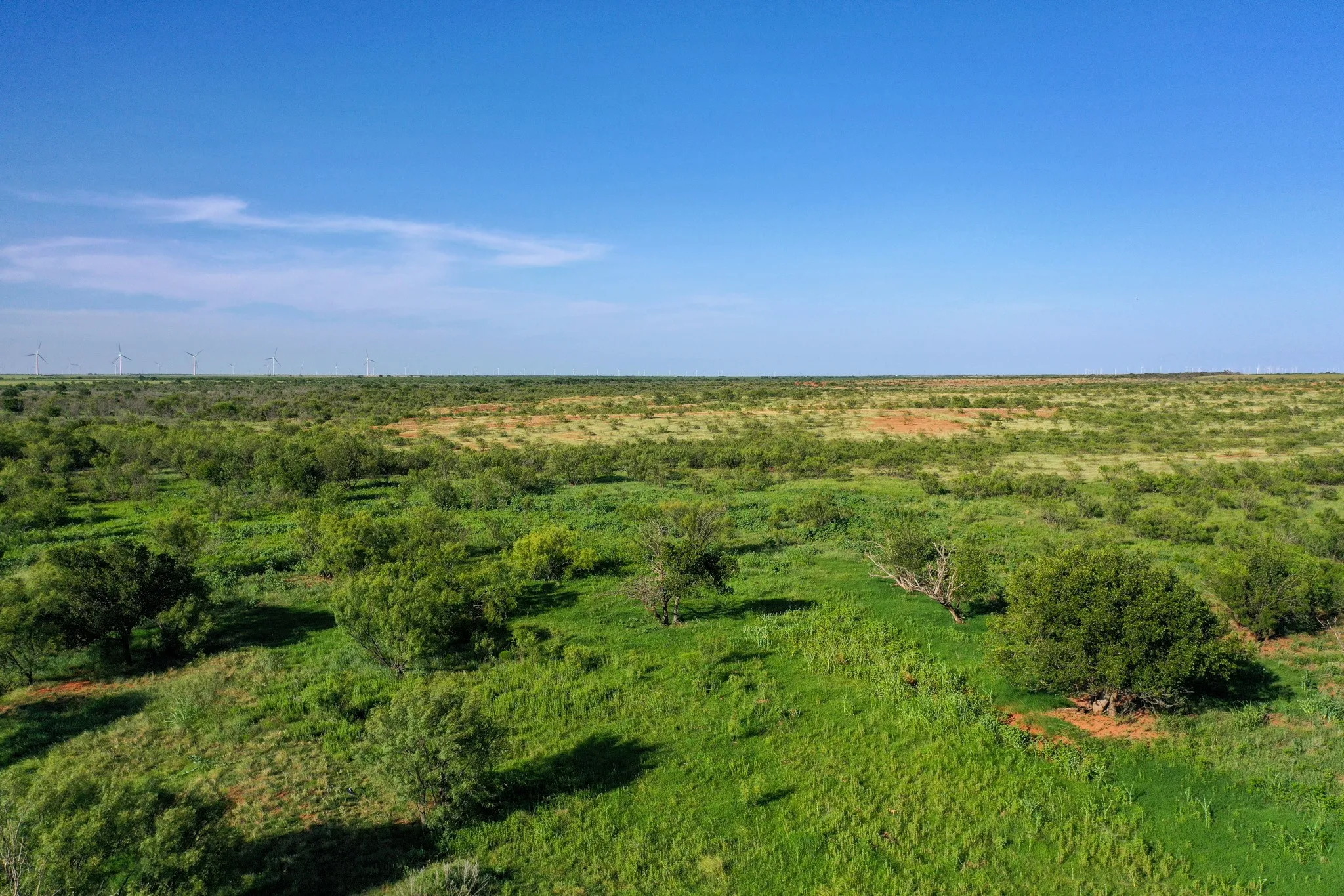 Ranch For Sale in Haskell County , TBD CR 235, 227, Haskell, Texas 79521, 0, 0, Garage spaces, 0 Sqft, built in 0, Price $6,532,953, mls#21266868, Real Estate Agent in Haskell, Homes For Sale in Haskell county, Homes For Sale in Haskell, Realtor in Haskell Texas, Real Estate Brokerage Independent Realty Texas, Luminita Cordes Realtor