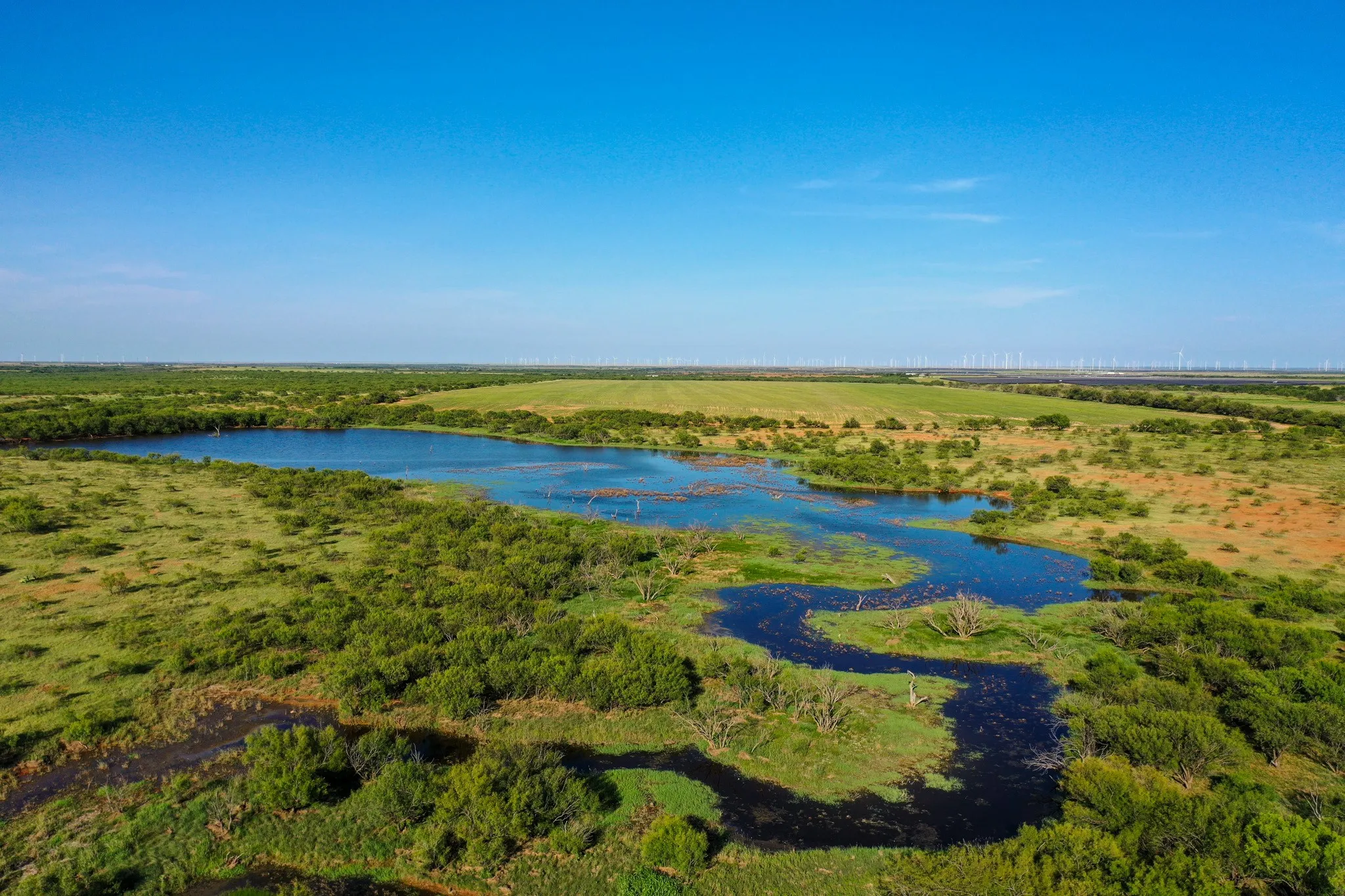 Ranch For Sale in Haskell County , TBD CR 235, 227, Haskell, Texas 79521, 0, 0, Garage spaces, 0 Sqft, built in 0, Price $6,532,953, mls#21266868, Real Estate Agent in Haskell, Homes For Sale in Haskell county, Homes For Sale in Haskell, Realtor in Haskell Texas, Real Estate Brokerage Independent Realty Texas, Luminita Cordes Realtor