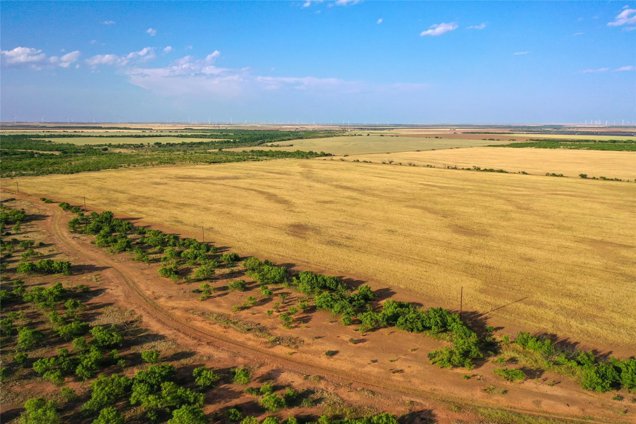 Ranch For Sale in Haskell County , TBD CR 235, 227, Haskell, Texas 79521, 0, 0, Garage spaces, 0 Sqft, built in 0, Price $6,532,953, mls#21266868, Real Estate Agent in Haskell, Homes For Sale in Haskell county, Homes For Sale in Haskell, Realtor in Haskell Texas, Real Estate Brokerage Independent Realty Texas, Luminita Cordes Realtor