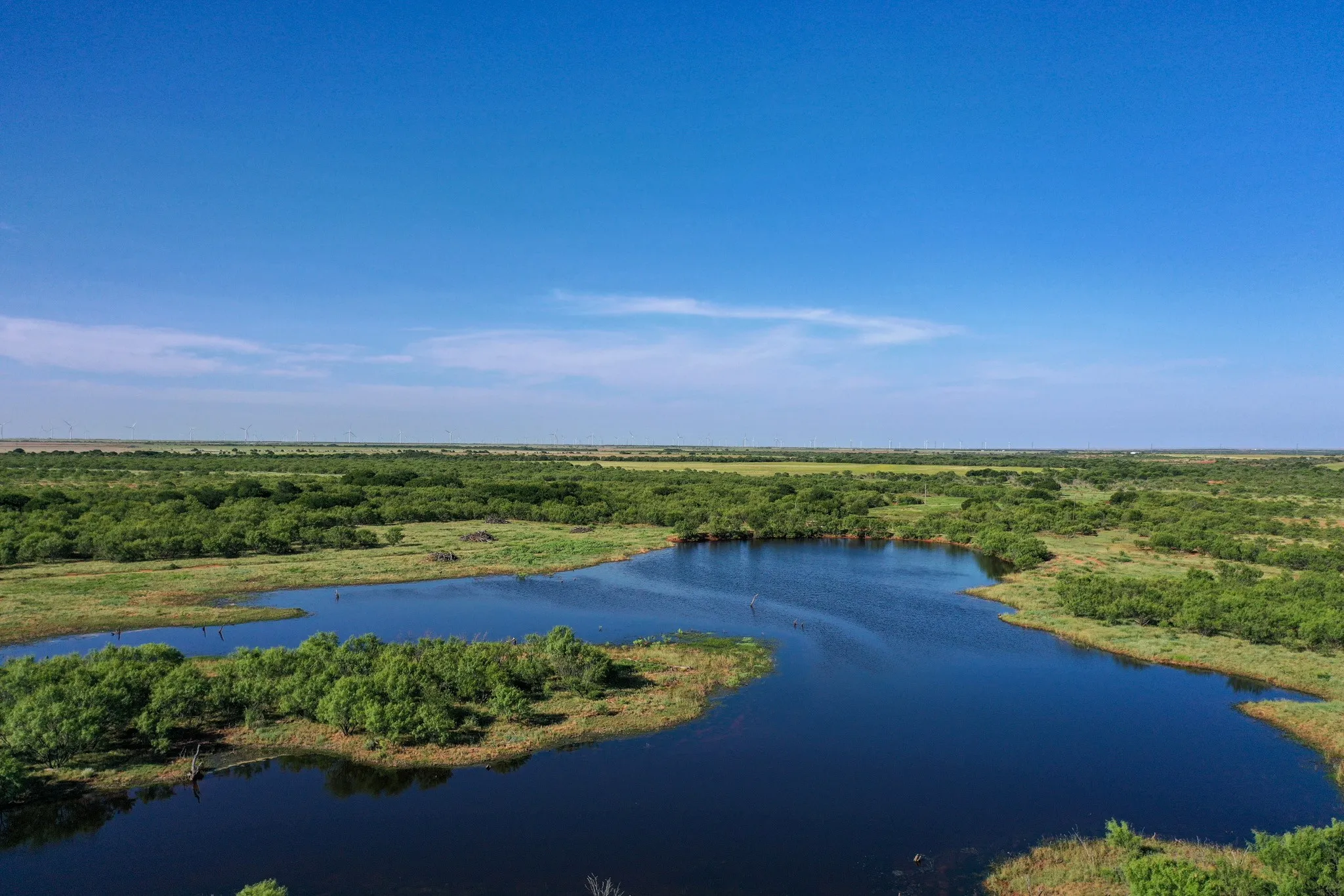 Ranch For Sale in Haskell County , TBD CR 235, 227, Haskell, Texas 79521, 0, 0, Garage spaces, 0 Sqft, built in 0, Price $6,532,953, mls#21266868, Real Estate Agent in Haskell, Homes For Sale in Haskell county, Homes For Sale in Haskell, Realtor in Haskell Texas, Real Estate Brokerage Independent Realty Texas, Luminita Cordes Realtor