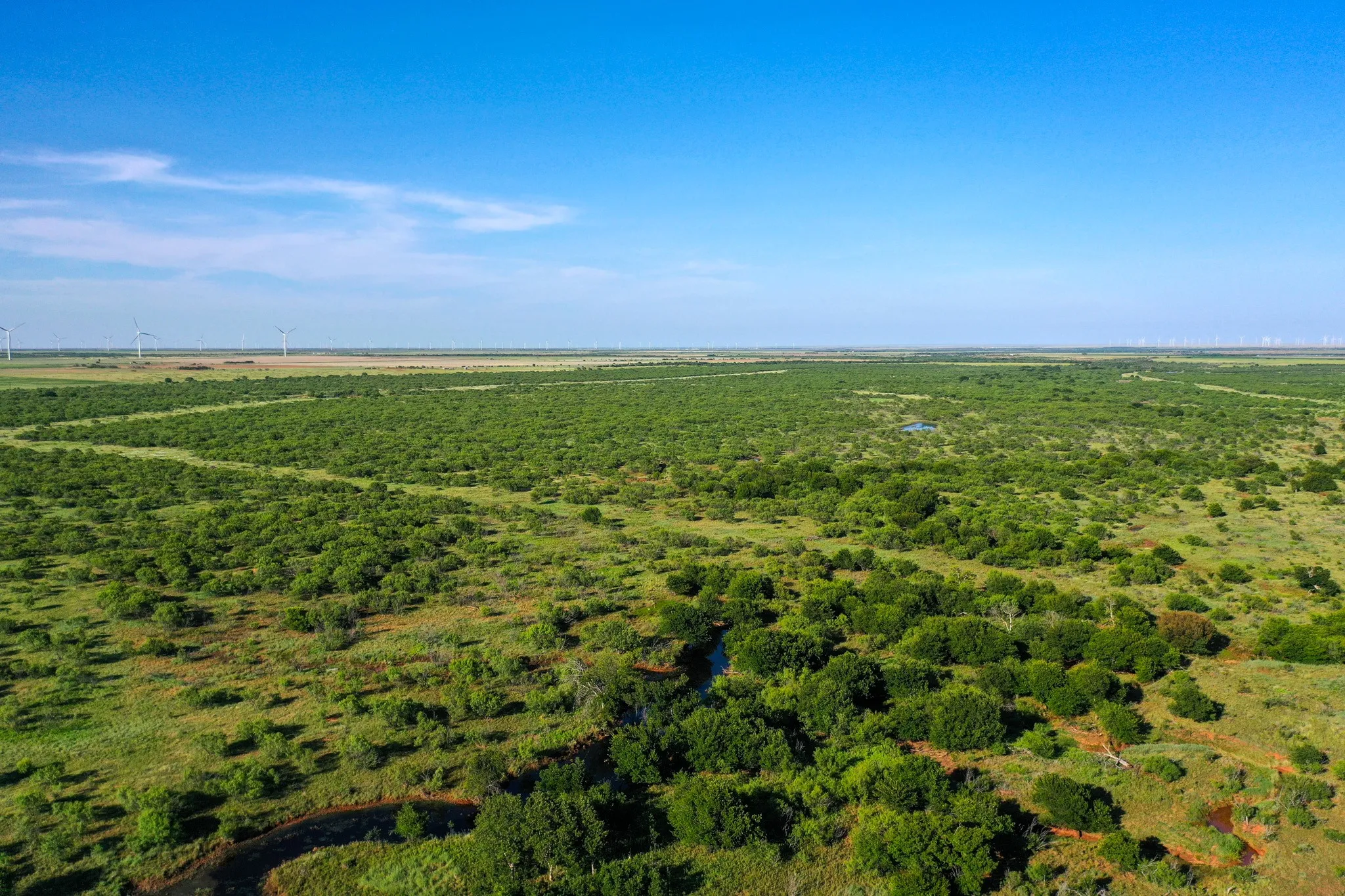 Ranch For Sale in Haskell County , TBD CR 235, 227, Haskell, Texas 79521, 0, 0, Garage spaces, 0 Sqft, built in 0, Price $6,532,953, mls#21266868, Real Estate Agent in Haskell, Homes For Sale in Haskell county, Homes For Sale in Haskell, Realtor in Haskell Texas, Real Estate Brokerage Independent Realty Texas, Luminita Cordes Realtor
