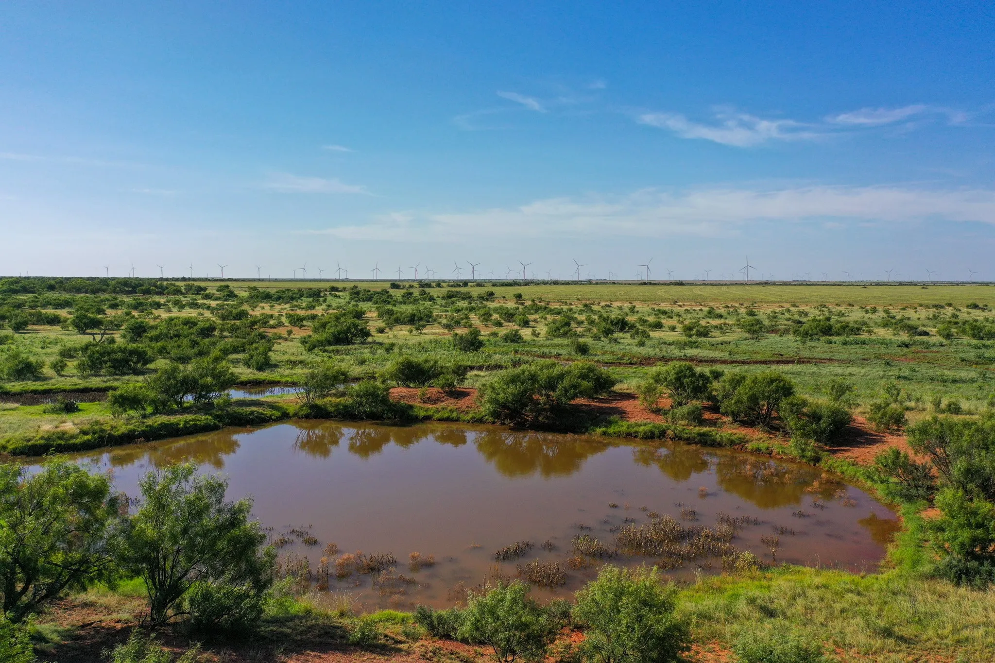 Ranch For Sale in Haskell County , TBD CR 235, 227, Haskell, Texas 79521, 0, 0, Garage spaces, 0 Sqft, built in 0, Price $6,532,953, mls#21266868, Real Estate Agent in Haskell, Homes For Sale in Haskell county, Homes For Sale in Haskell, Realtor in Haskell Texas, Real Estate Brokerage Independent Realty Texas, Luminita Cordes Realtor