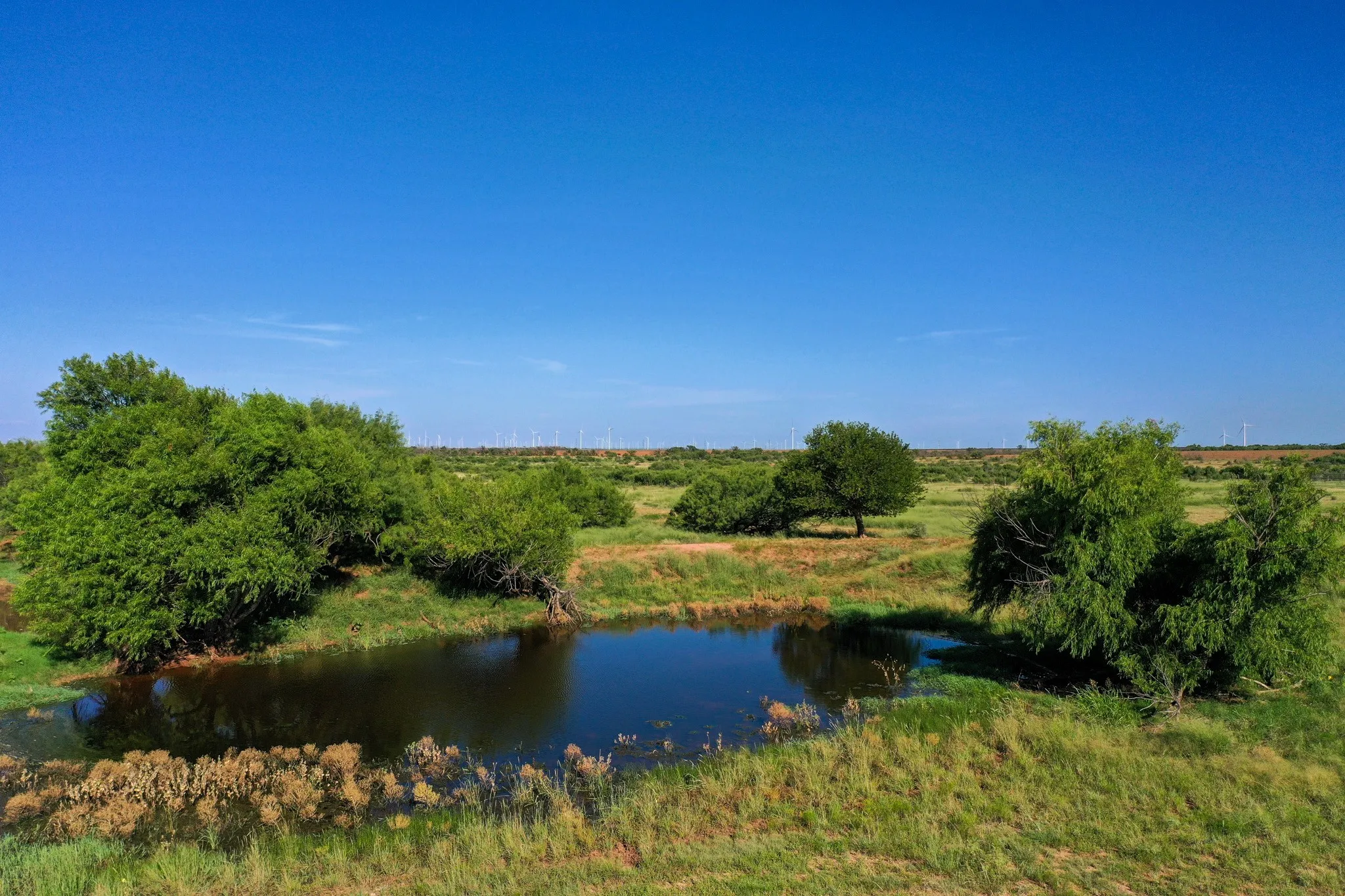 Ranch For Sale in Haskell County , TBD CR 235, 227, Haskell, Texas 79521, 0, 0, Garage spaces, 0 Sqft, built in 0, Price $6,532,953, mls#21266868, Real Estate Agent in Haskell, Homes For Sale in Haskell county, Homes For Sale in Haskell, Realtor in Haskell Texas, Real Estate Brokerage Independent Realty Texas, Luminita Cordes Realtor