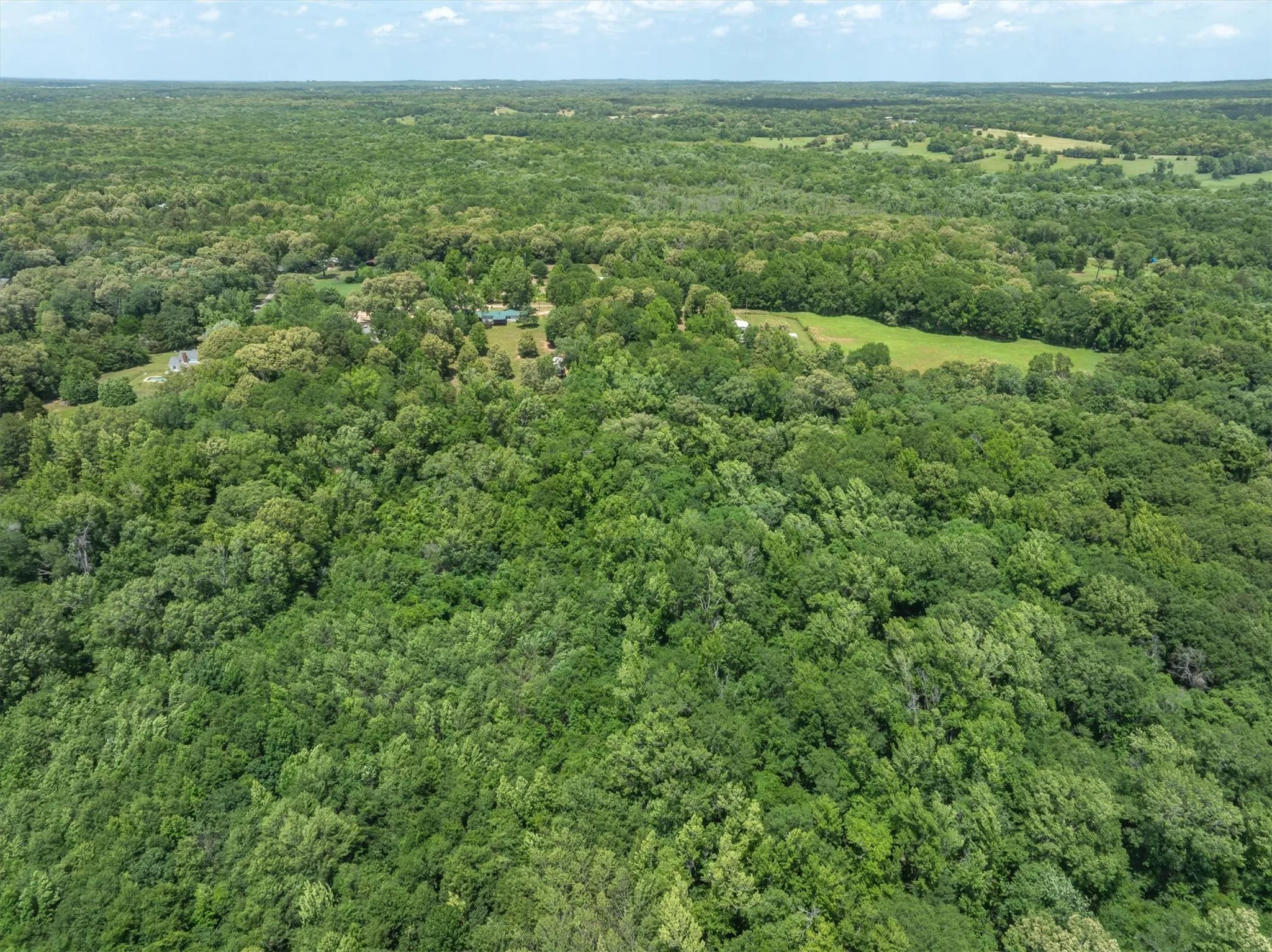 Unimproved Land For Sale in Van Zandt County , TBD VZ COUNTY ROAD 4909, Ben Wheeler, Texas 75754, 0, 0, Garage spaces, 0 Sqft, built in 0, mls#21276376, Real Estate Agent in Ben Wheeler, Homes For Sale in Van Zandt county, Homes For Sale in Ben Wheeler, Realtor in Ben Wheeler Texas, Real Estate Brokerage Independent Realty Texas, Luminita Cordes Realtor