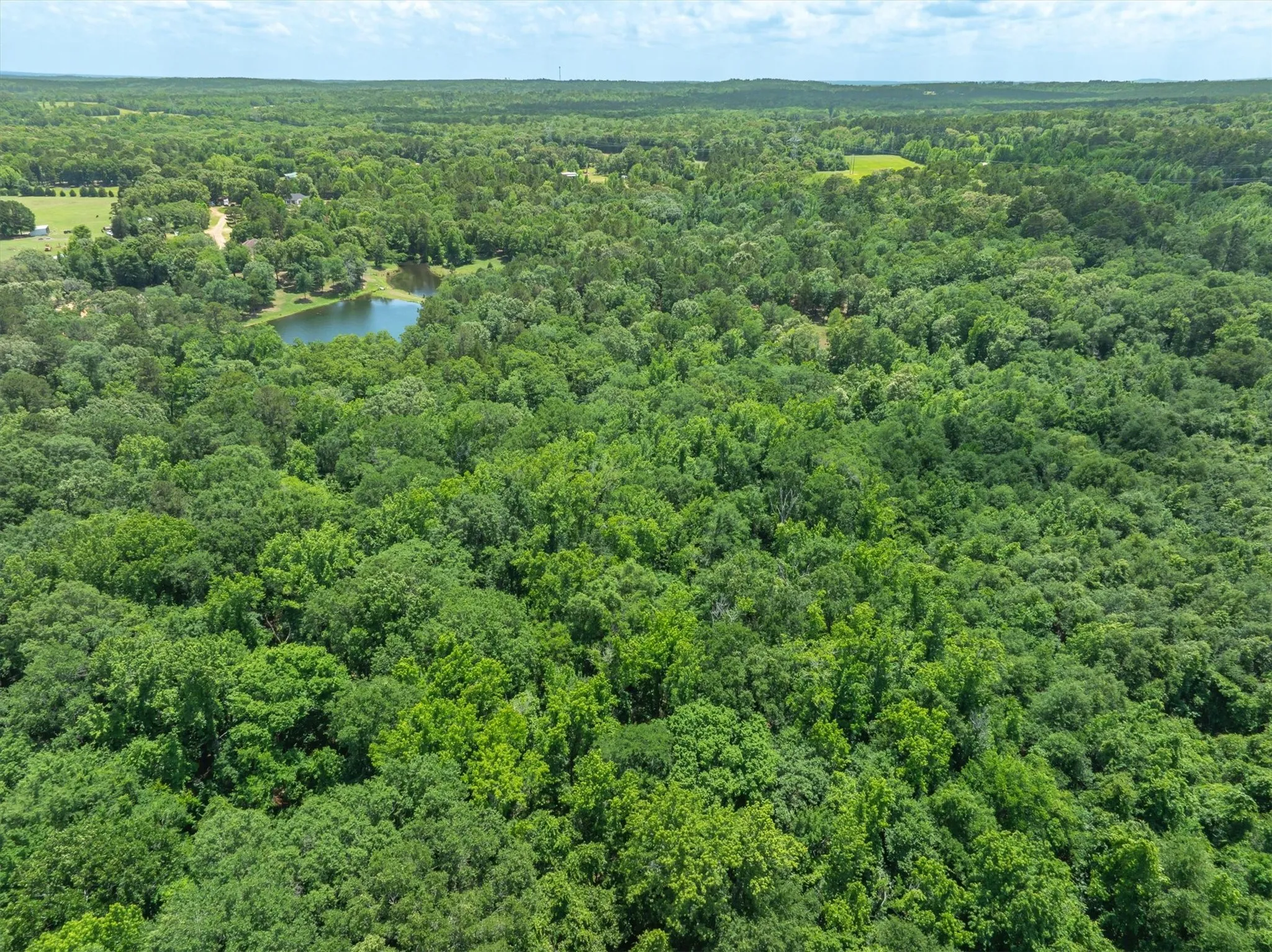 Unimproved Land For Sale in Van Zandt County , TBD VZ COUNTY ROAD 4909, Ben Wheeler, Texas 75754, 0, 0, Garage spaces, 0 Sqft, built in 0, mls#21276376, Real Estate Agent in Ben Wheeler, Homes For Sale in Van Zandt county, Homes For Sale in Ben Wheeler, Realtor in Ben Wheeler Texas, Real Estate Brokerage Independent Realty Texas, Luminita Cordes Realtor